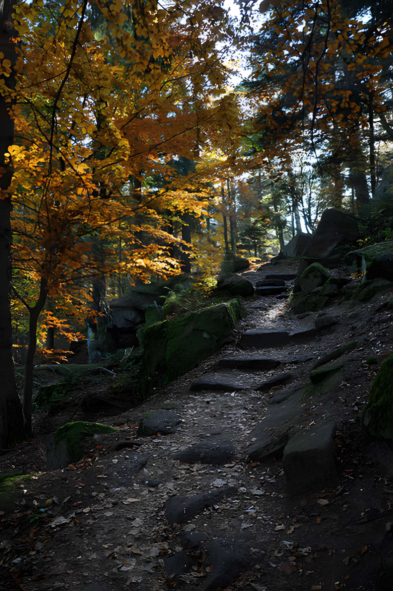 Mur païen du mont Sainte-Odile à Ottrott