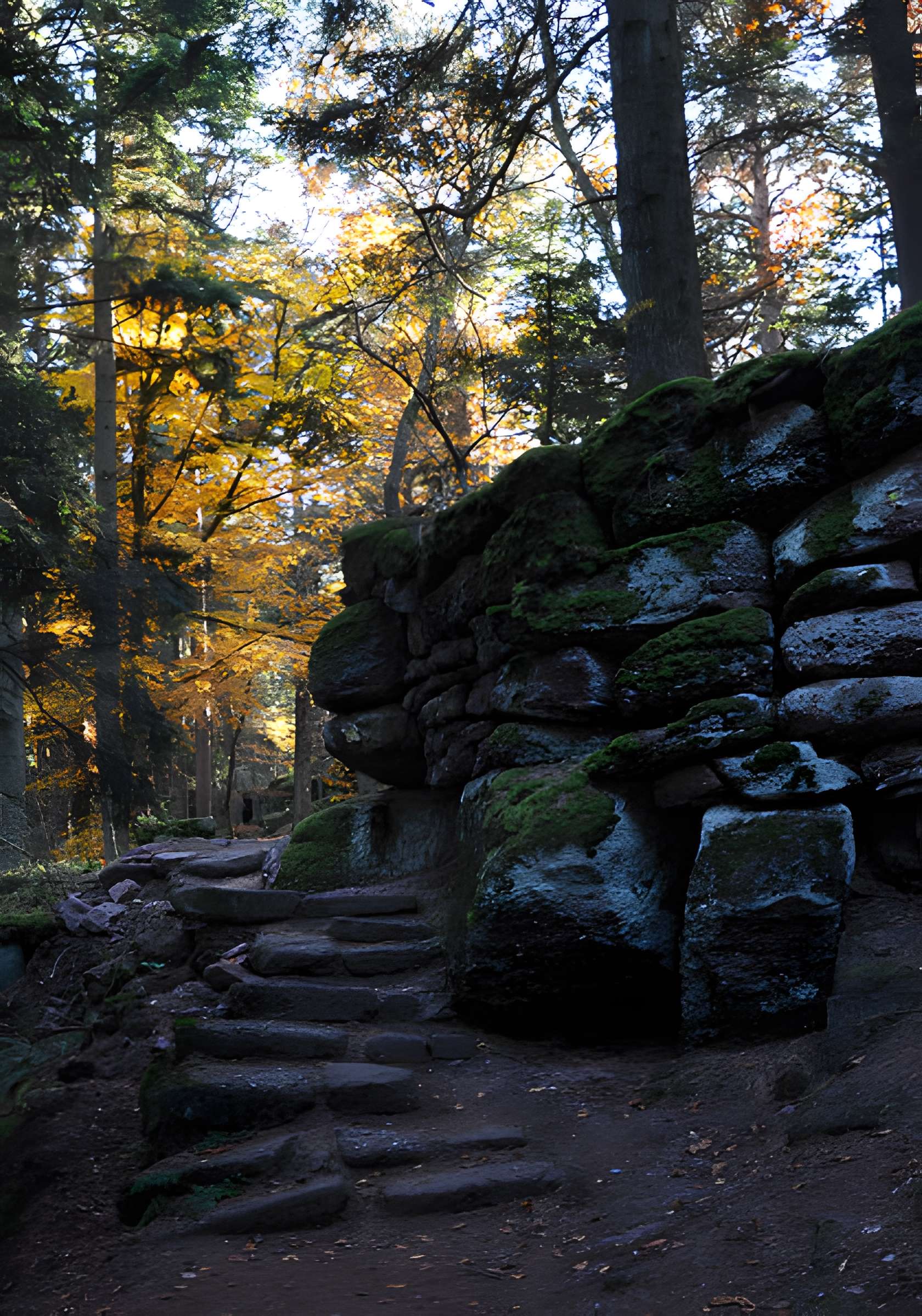 Mur païen du mont Sainte-Odile à Ottrott