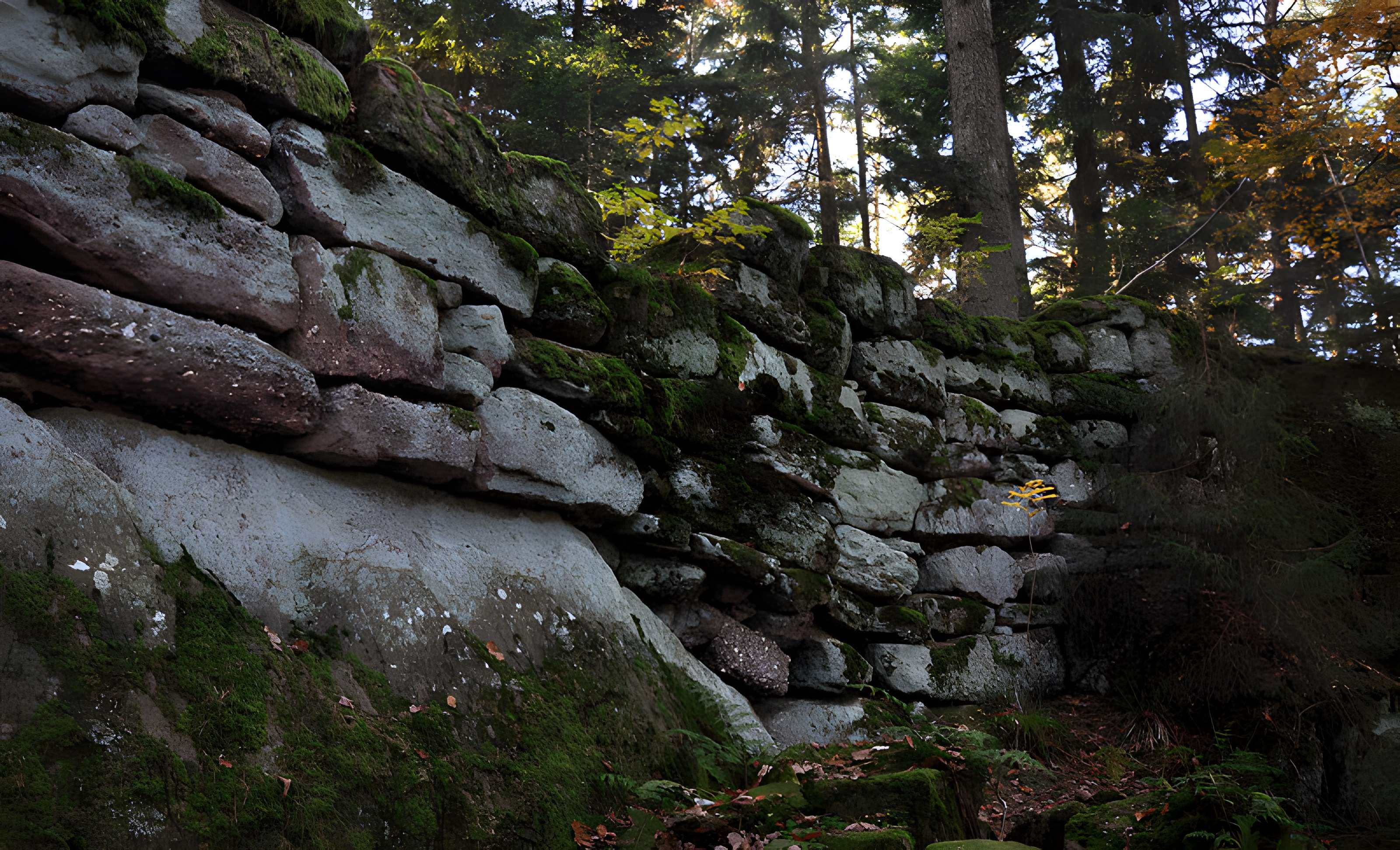 Mur païen du mont Sainte-Odile à Ottrott