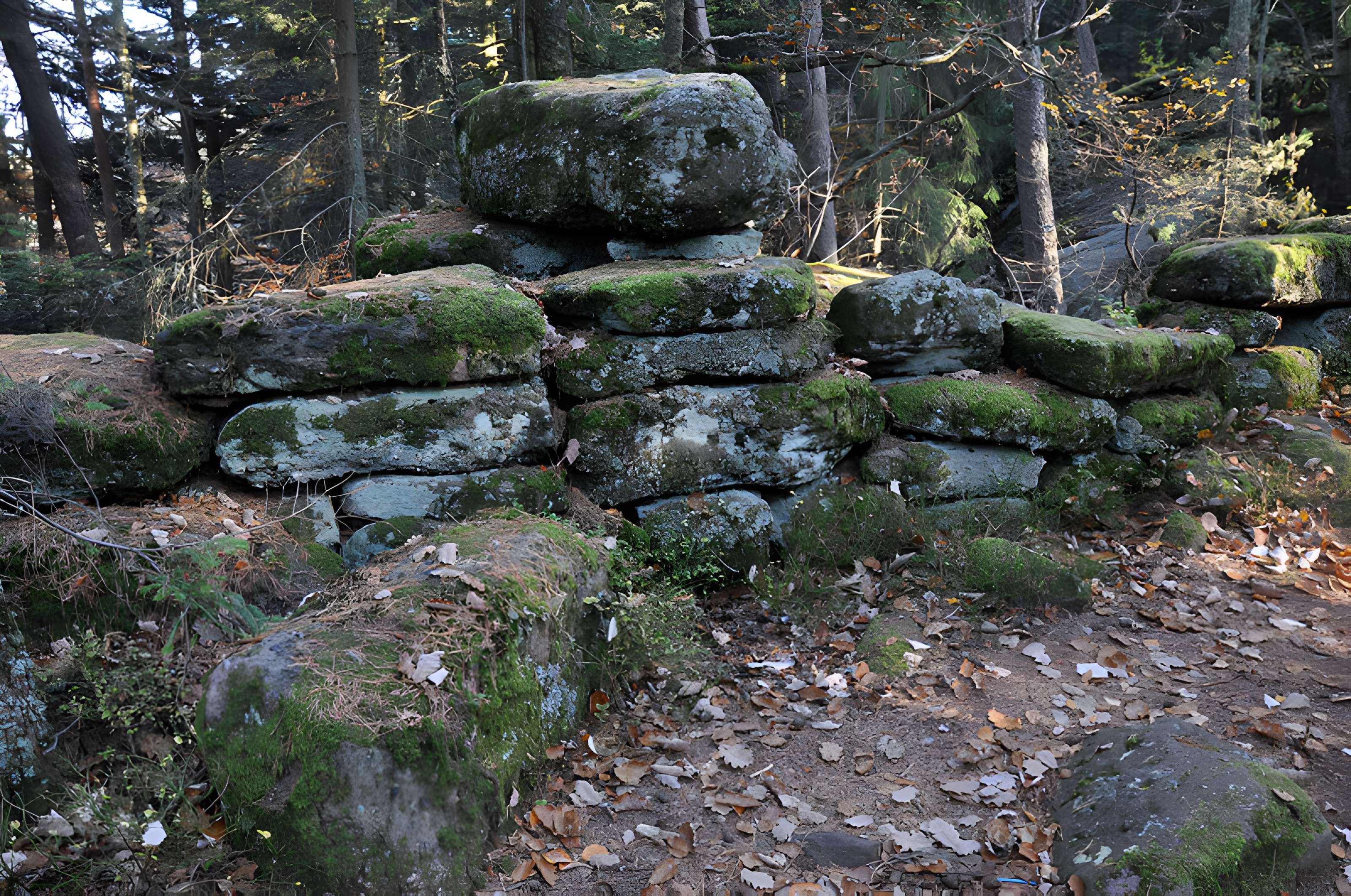 Mur païen du mont Sainte-Odile à Ottrott