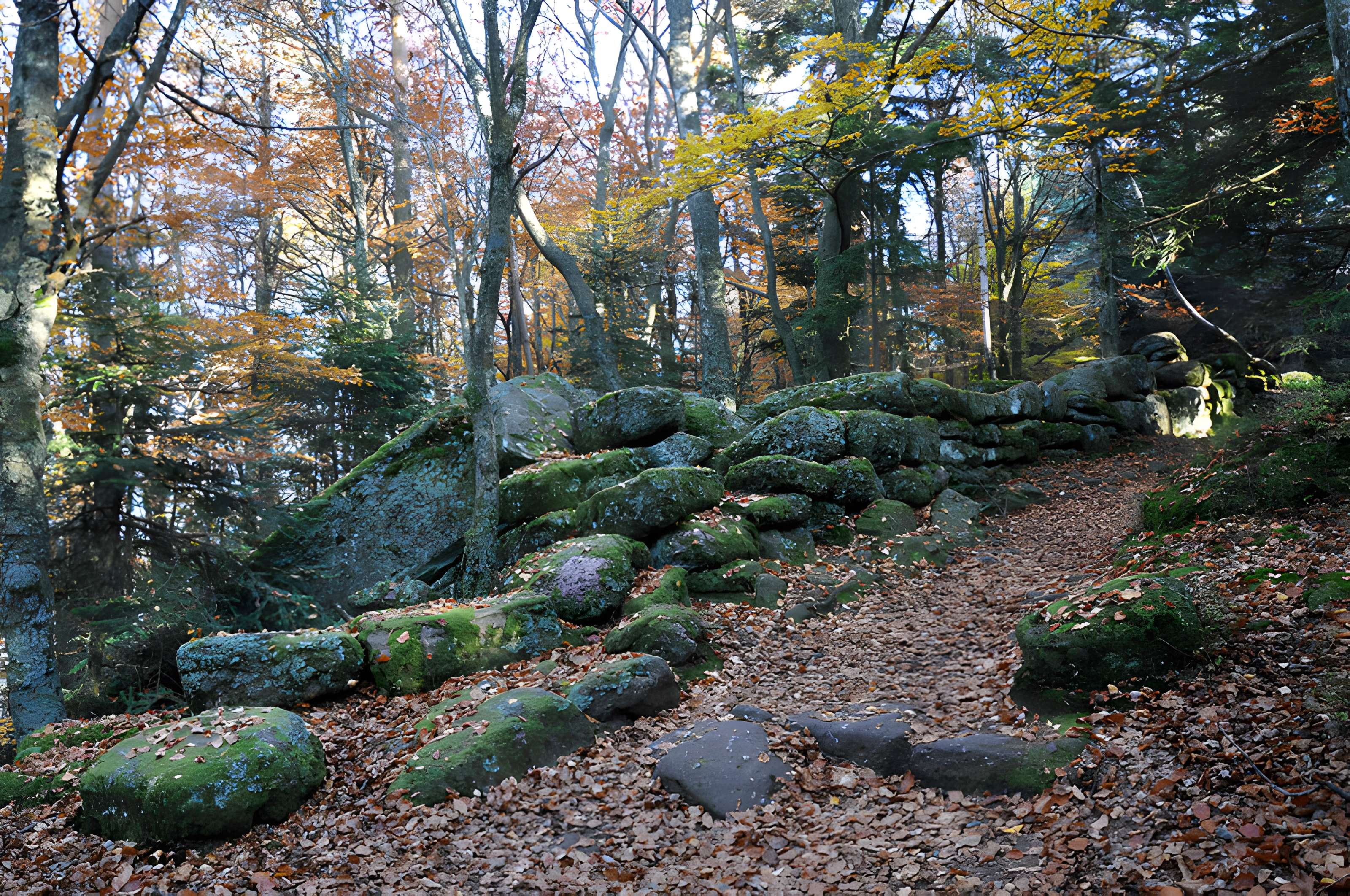 Mur païen du mont Sainte-Odile à Ottrott