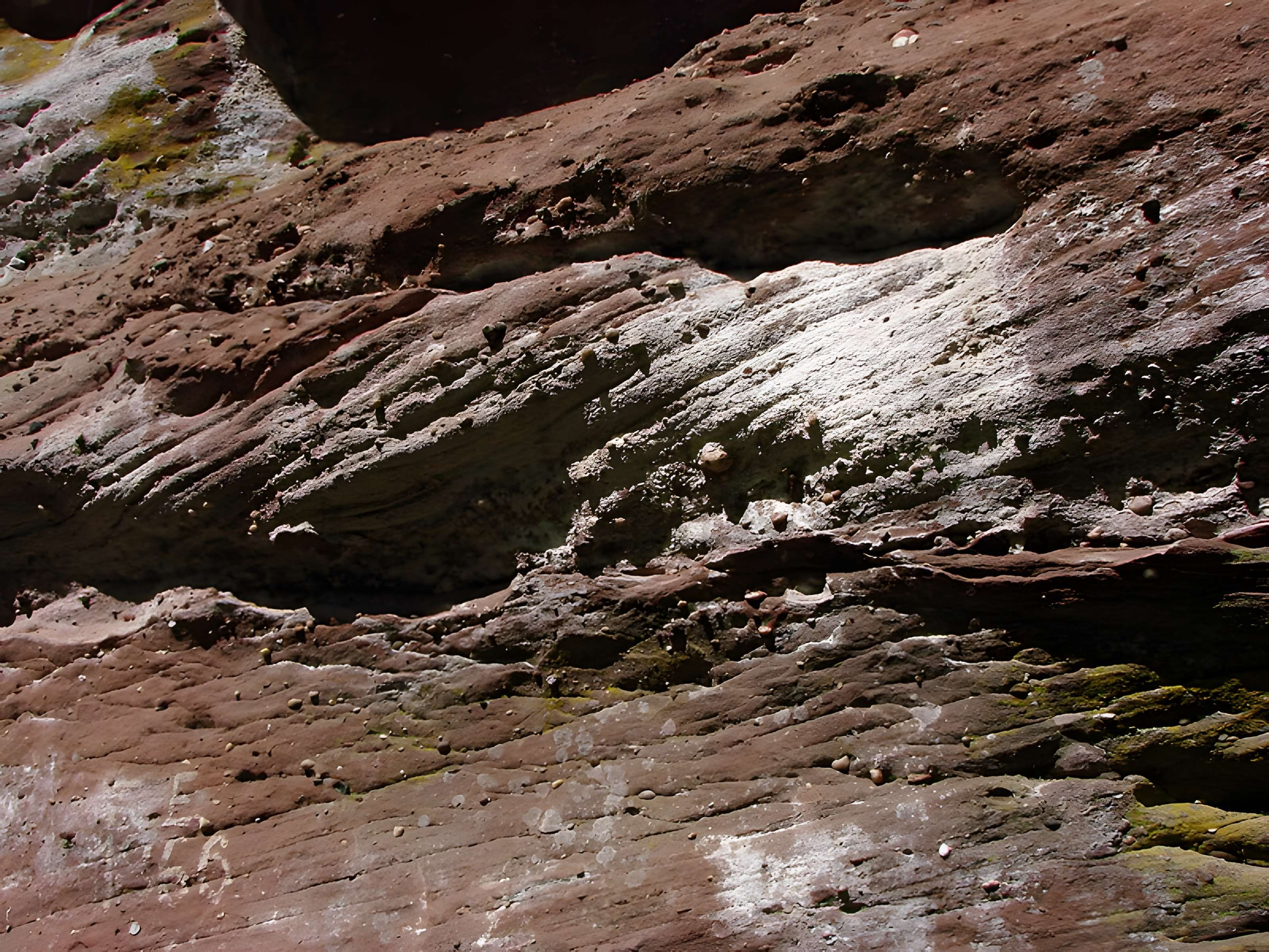 Mur païen du mont Sainte-Odile à Ottrott