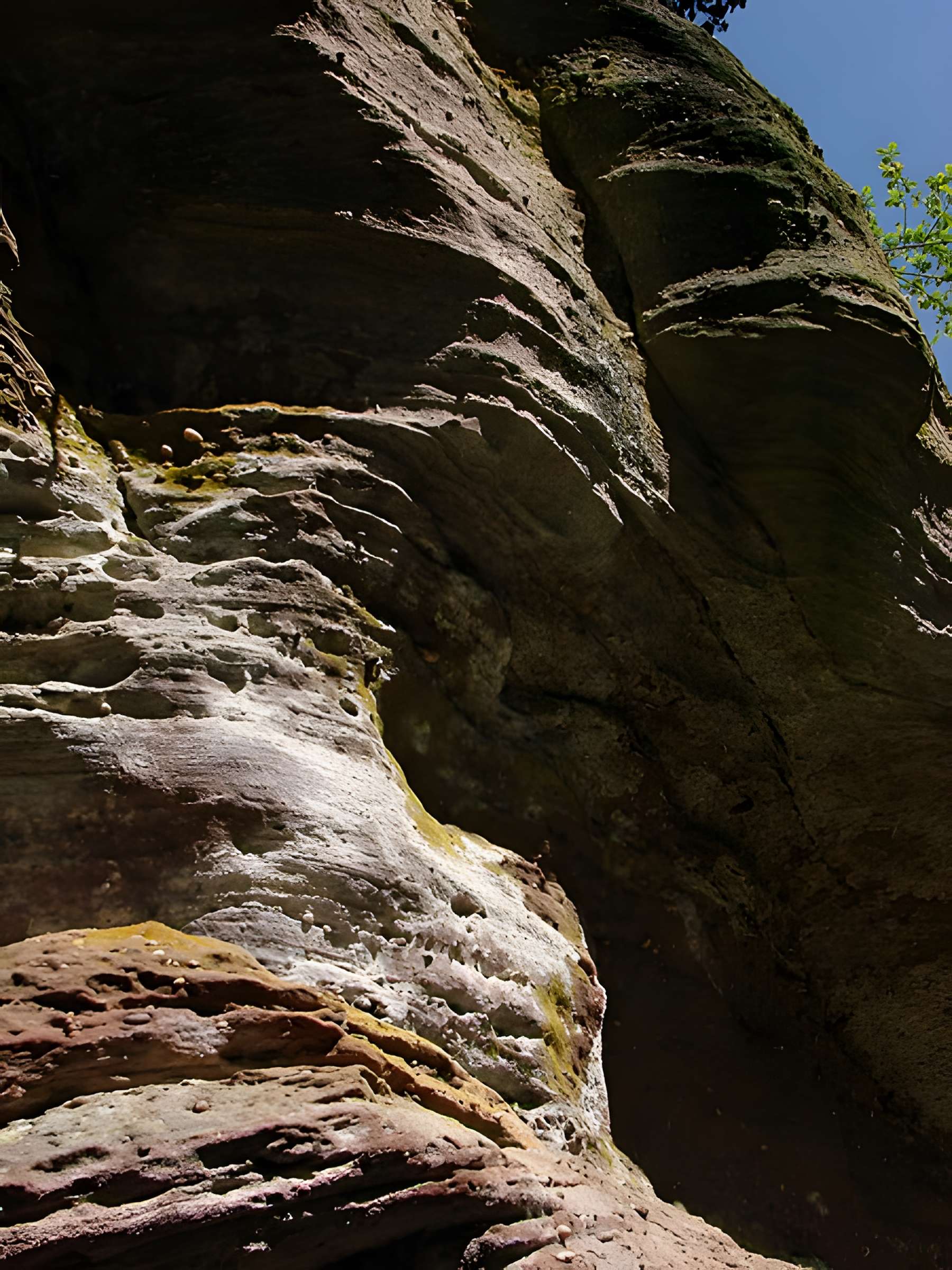 Mur païen du mont Sainte-Odile à Ottrott