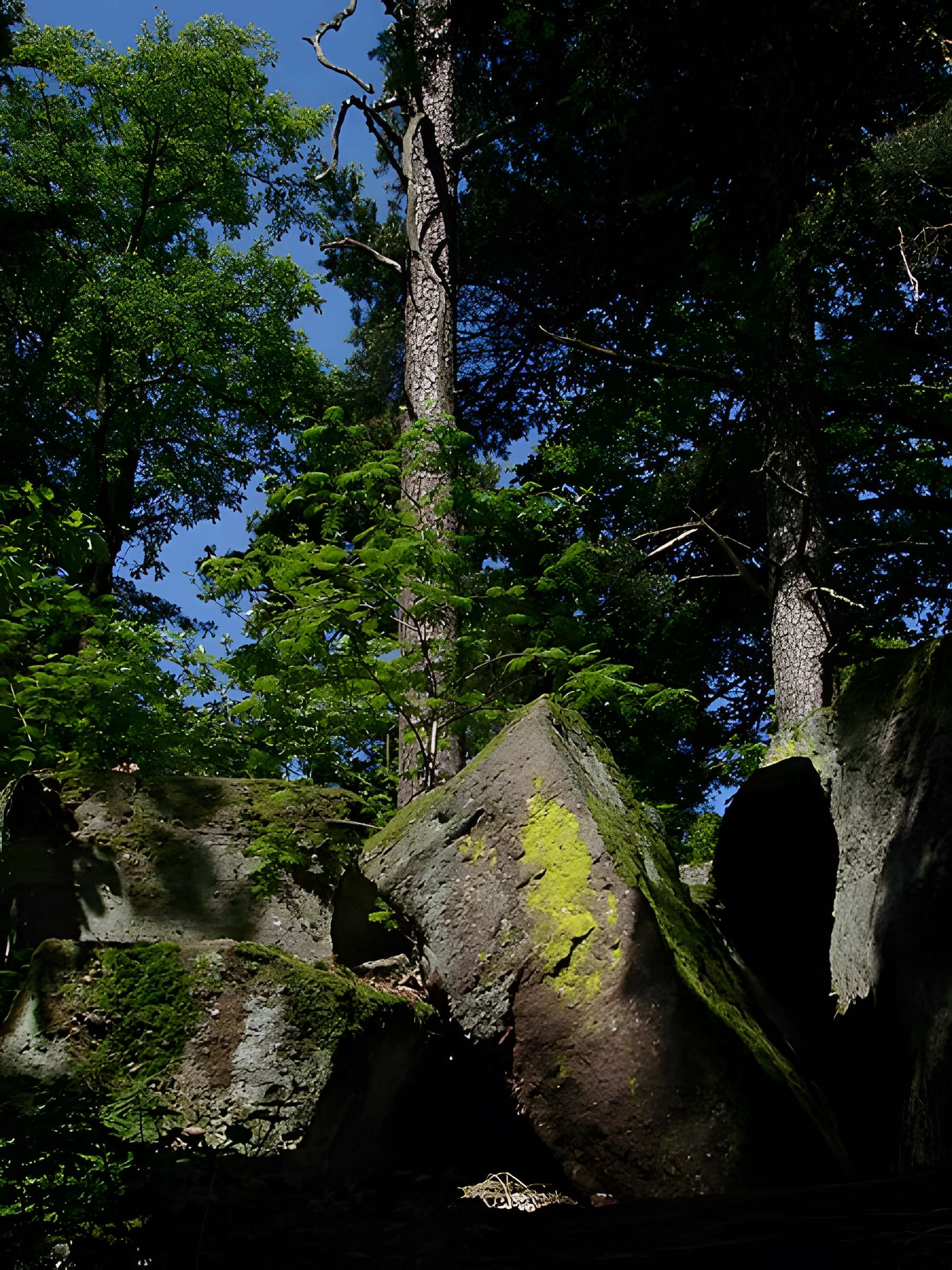 Mur païen du mont Sainte-Odile à Ottrott