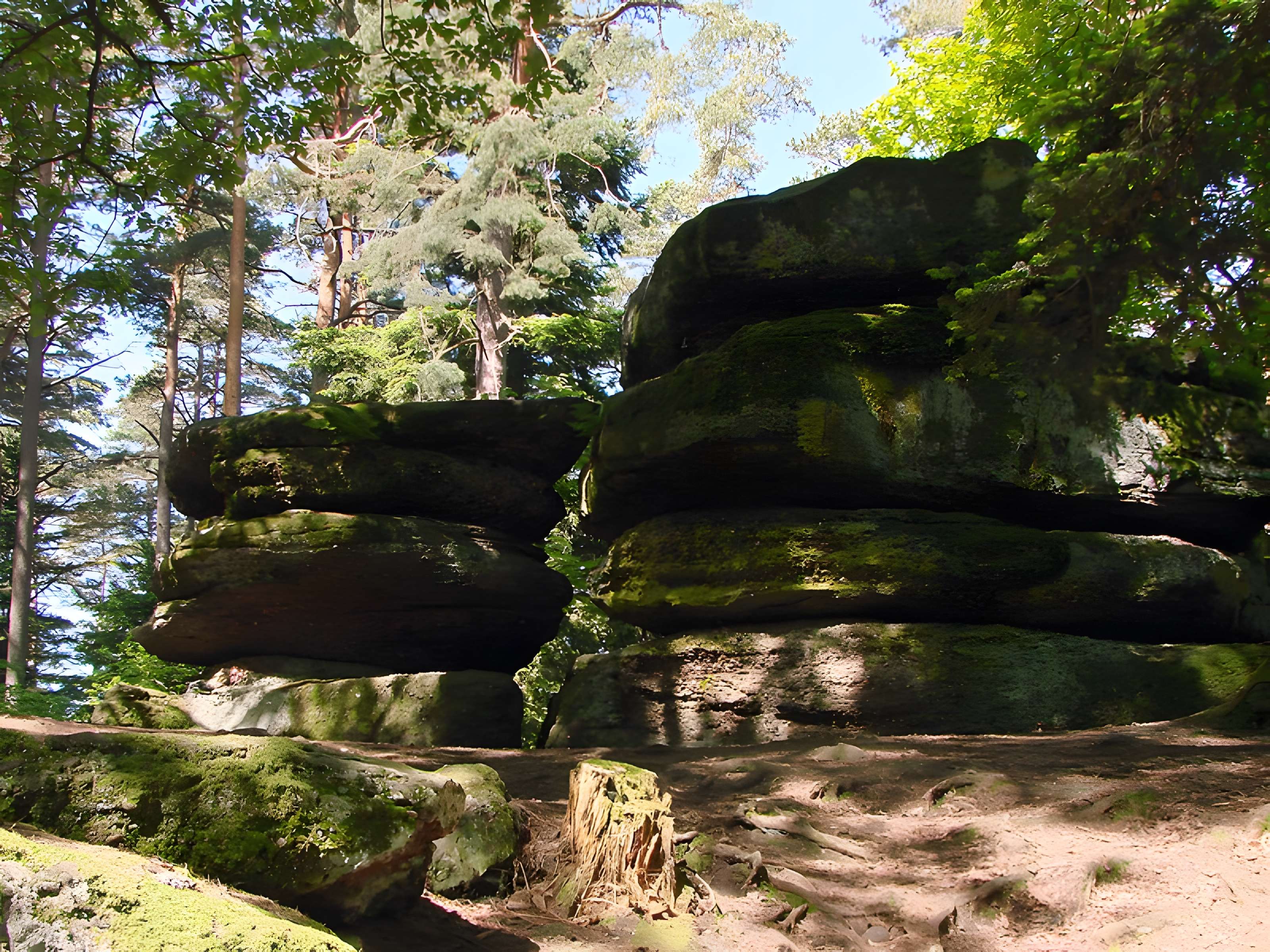 Mur païen du mont Sainte-Odile à Ottrott