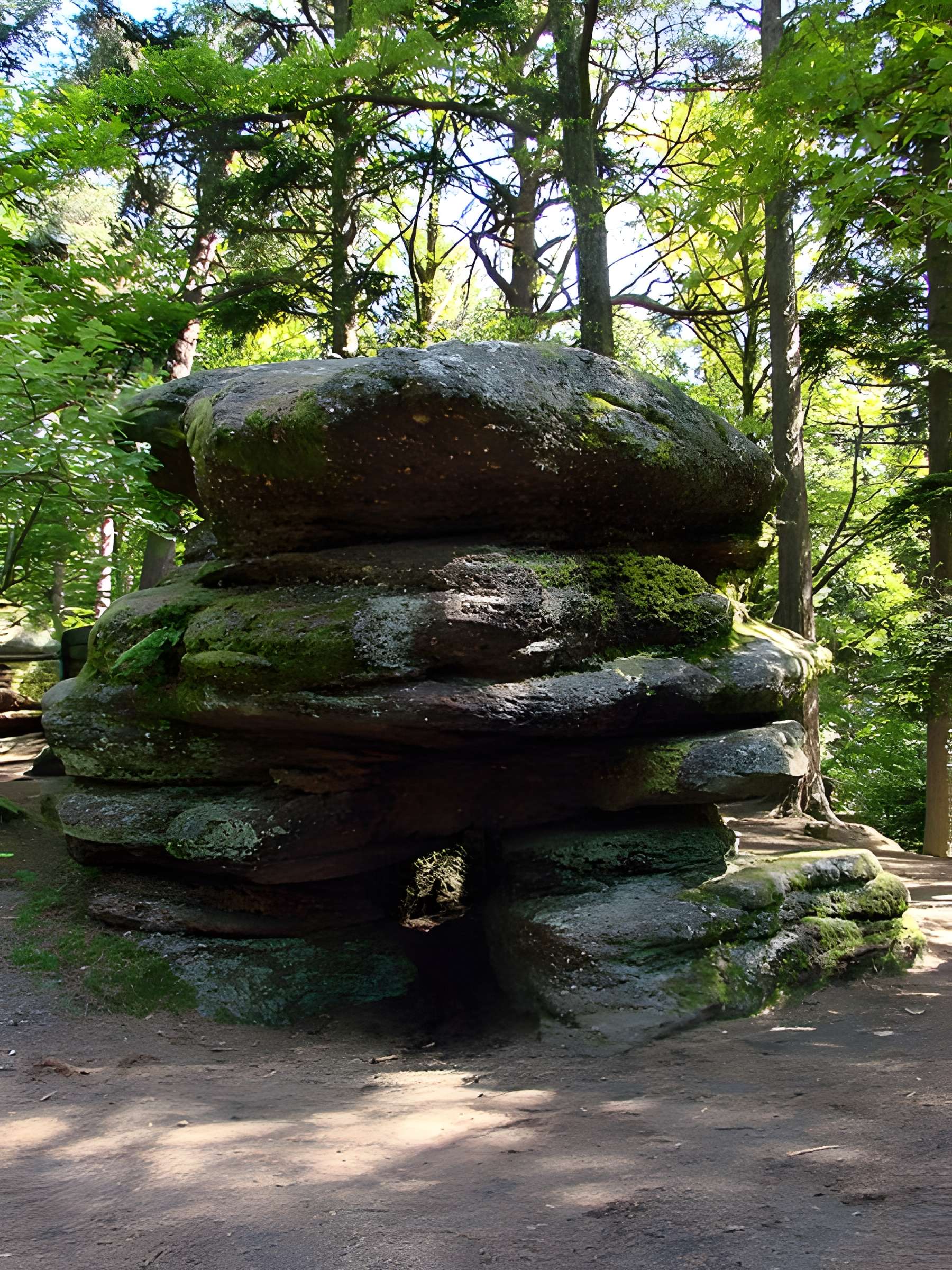 Mur païen du mont Sainte-Odile à Ottrott