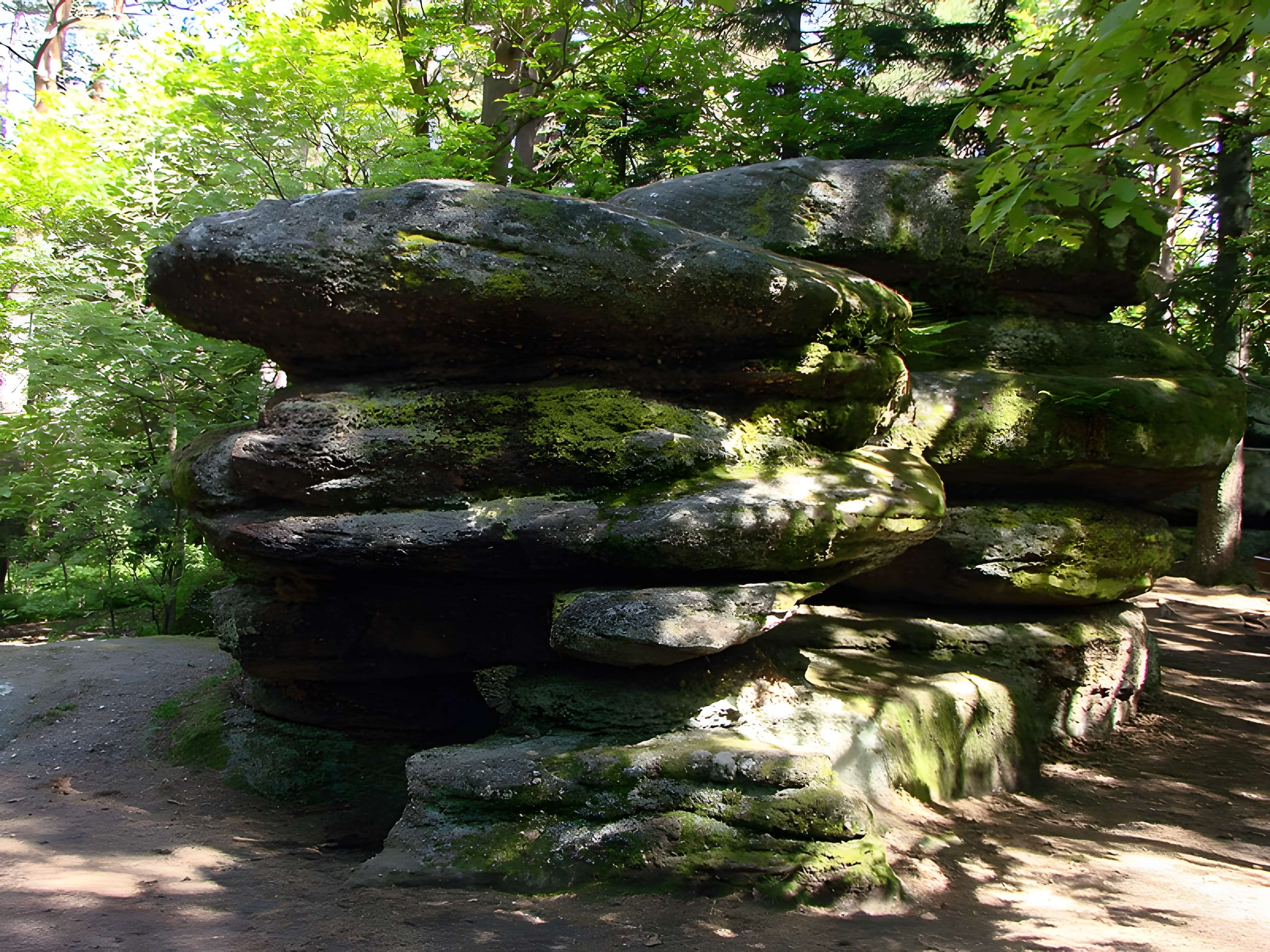 Mur païen du mont Sainte-Odile à Ottrott