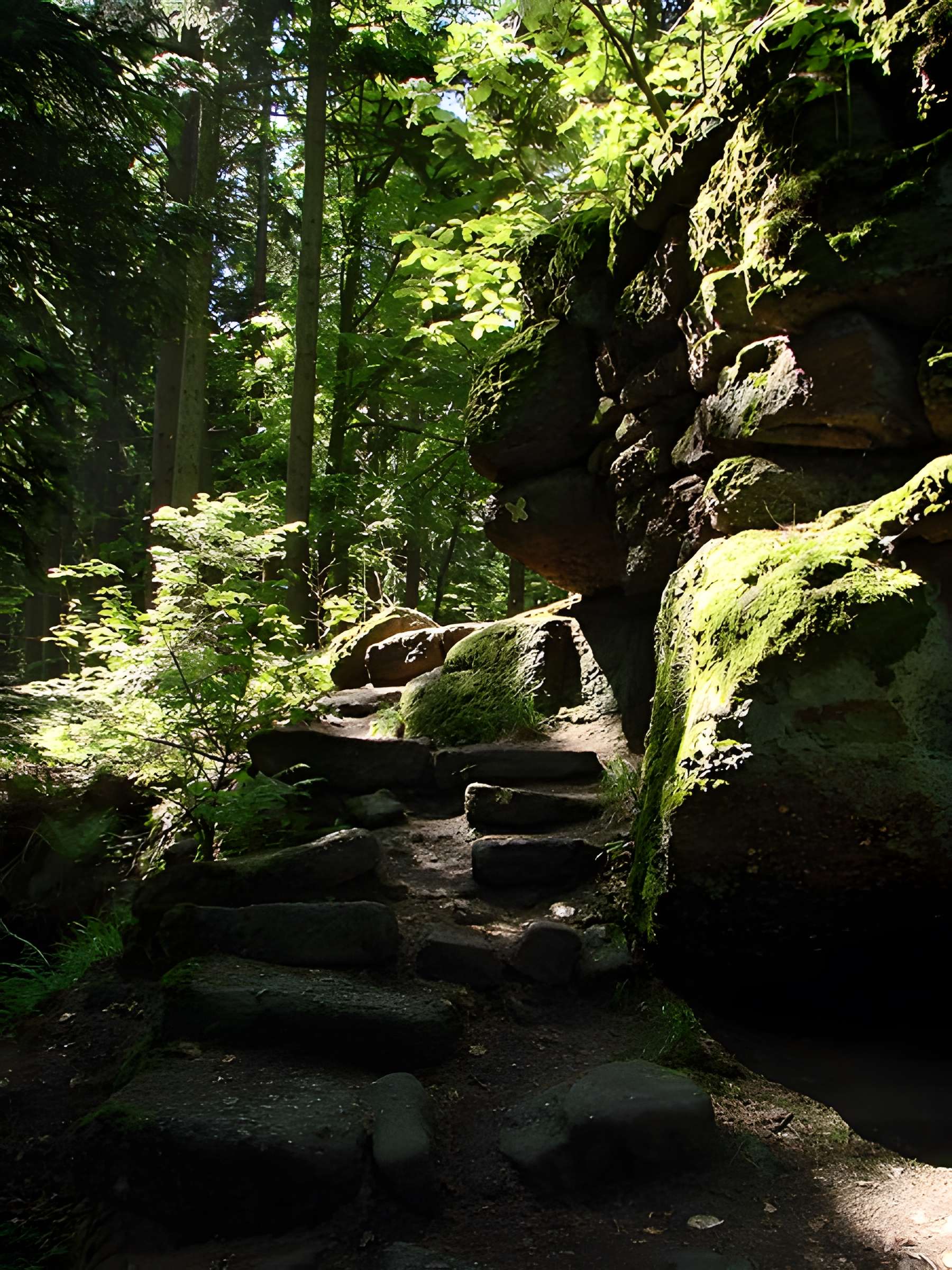 Mur païen du mont Sainte-Odile à Ottrott