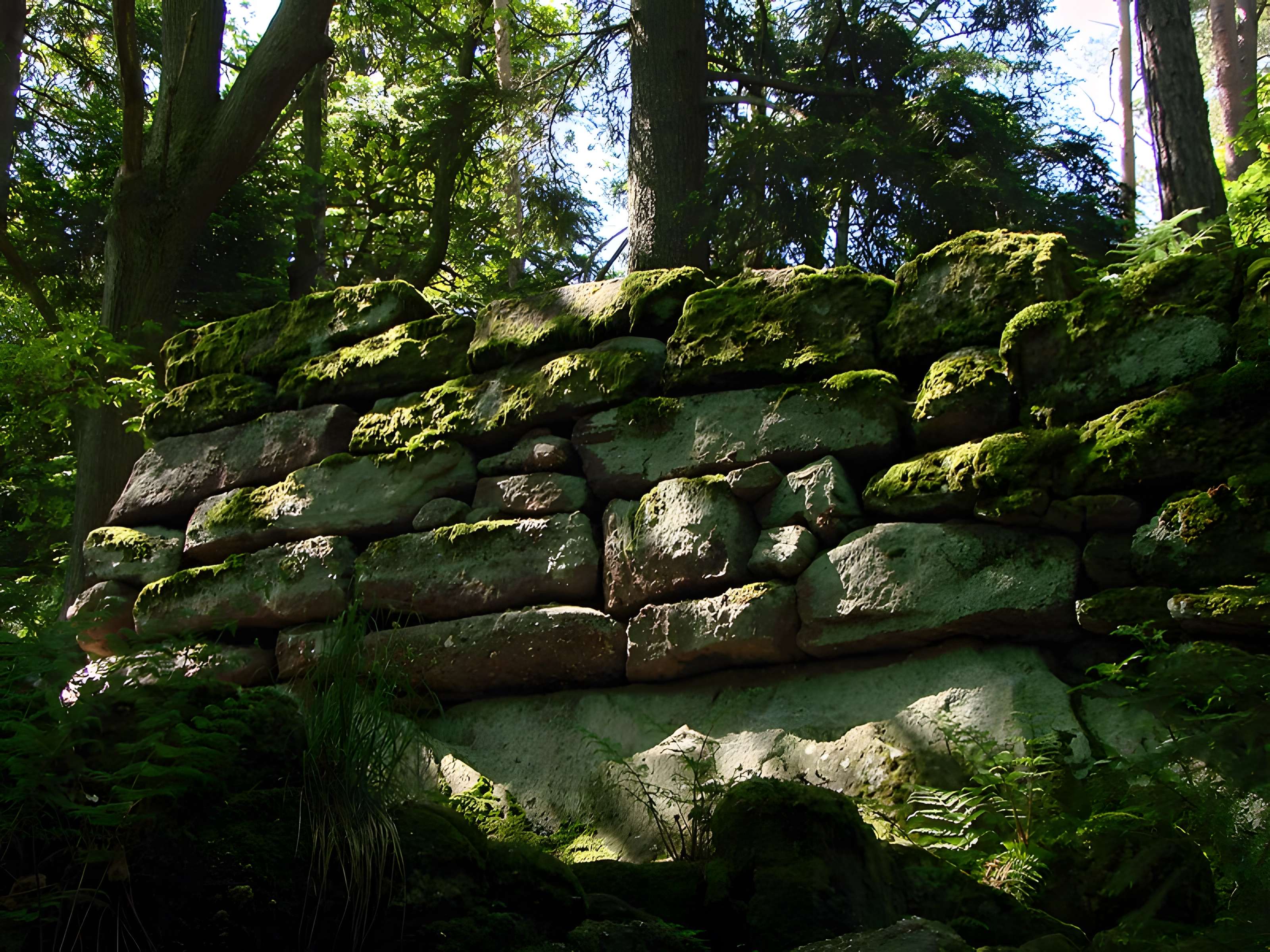 Mur païen du mont Sainte-Odile à Ottrott