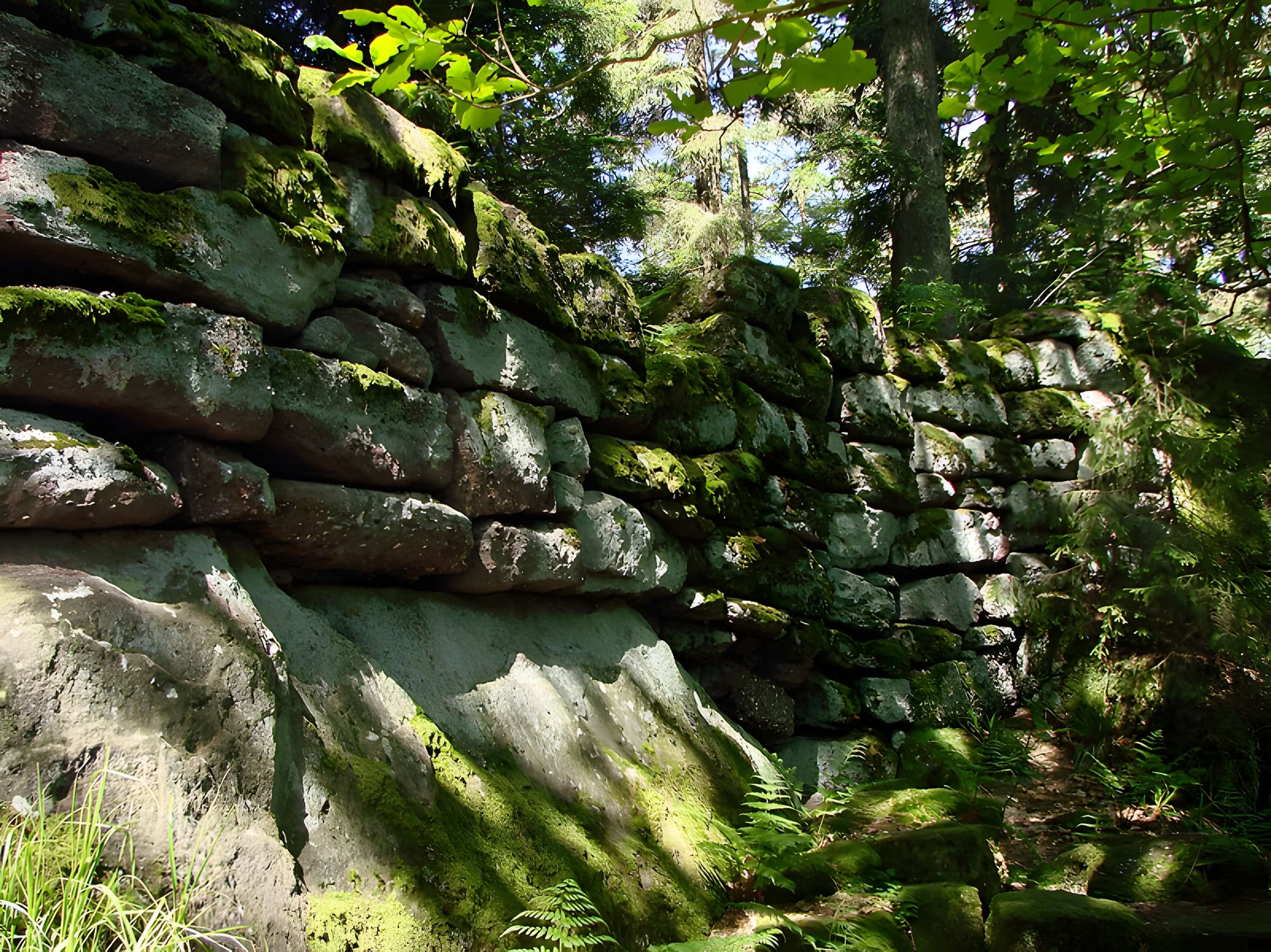 Mur païen du mont Sainte-Odile à Ottrott