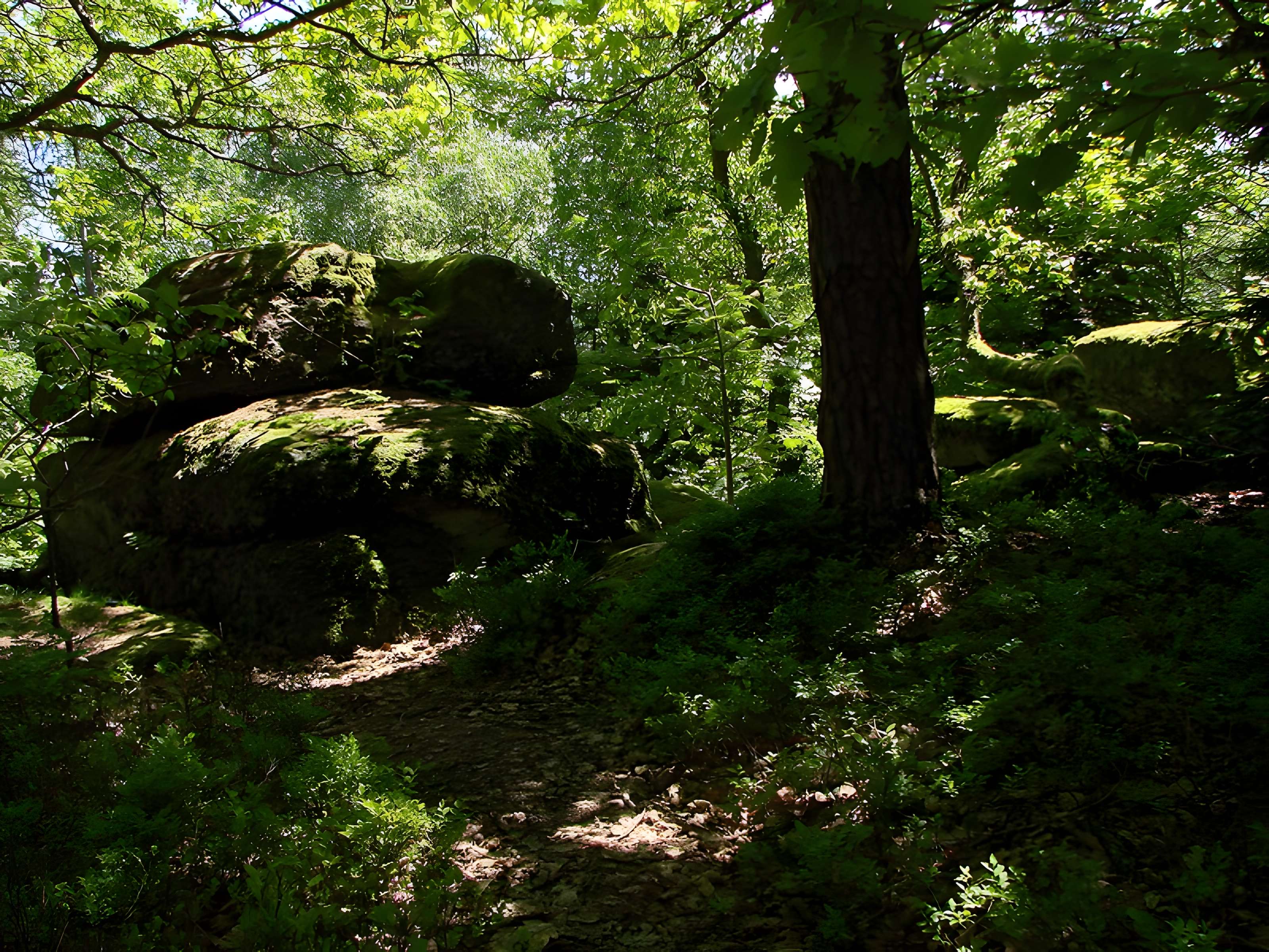 Mur païen du mont Sainte-Odile à Ottrott