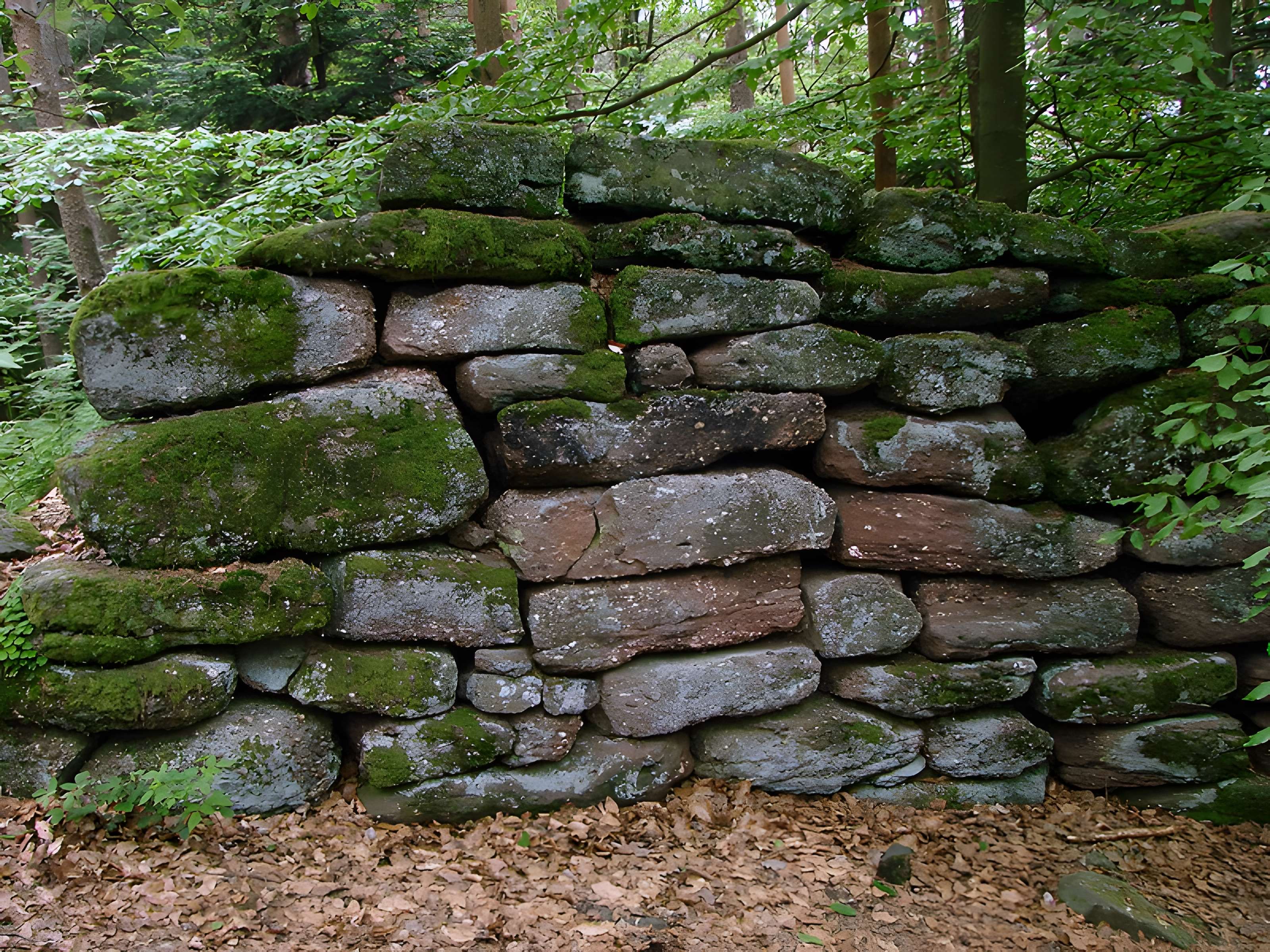 Mur païen du mont Sainte-Odile à Ottrott