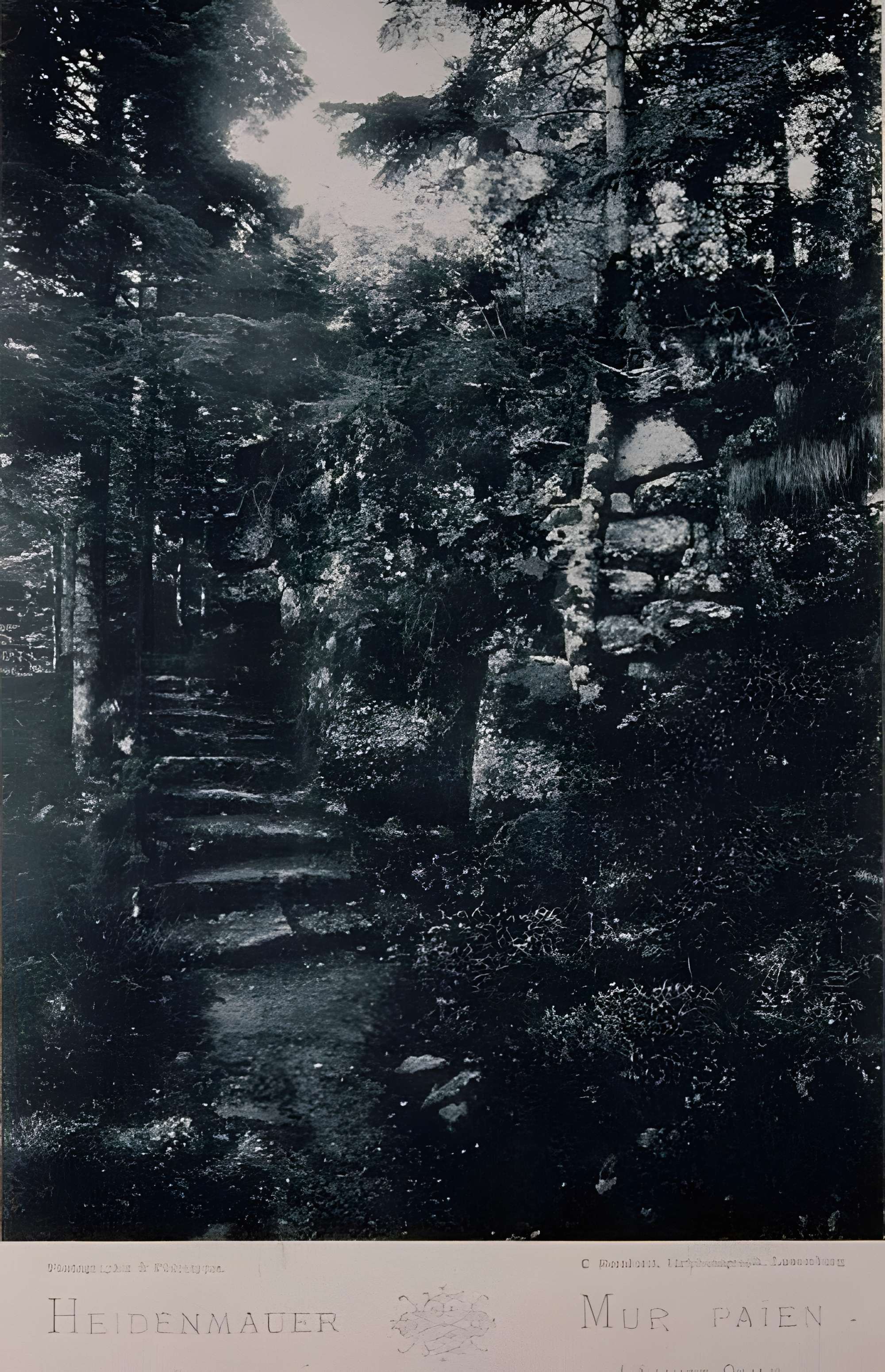 Mur païen du mont Sainte-Odile à Ottrott