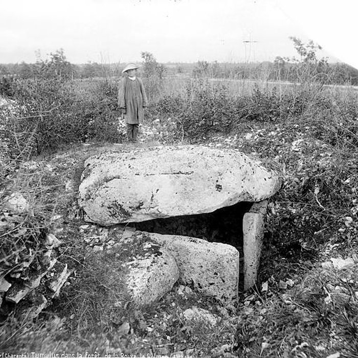 Photo de Nécropole de la Boixe à Vervant