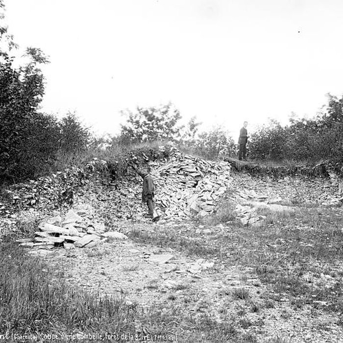 Photo de Nécropole de la Boixe à Vervant