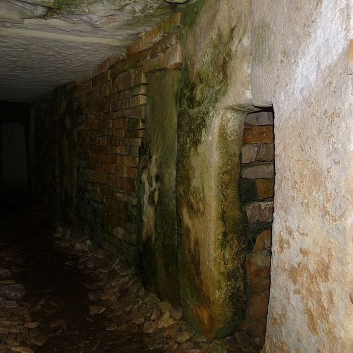 Photo de Nécropole de la Boixe à Vervant