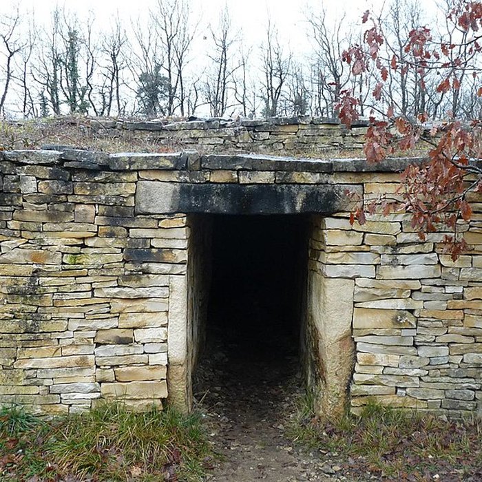 Photo de Nécropole de la Boixe à Vervant