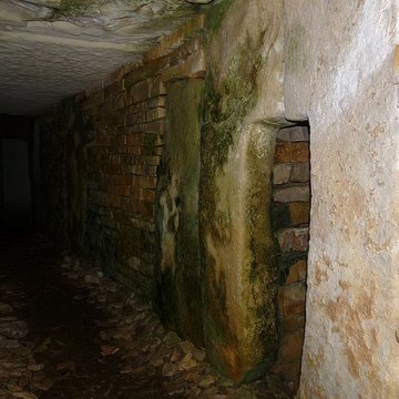 Nécropole de la Boixe à Vervant