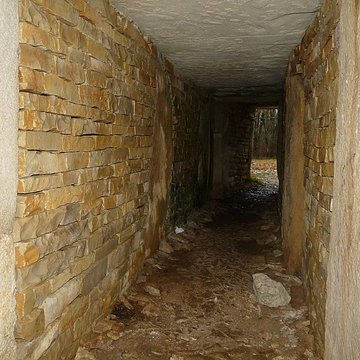 Nécropole de la Boixe à Vervant