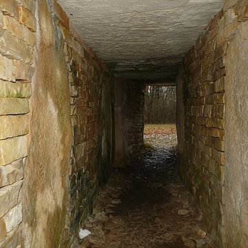 Nécropole de la Boixe à Vervant