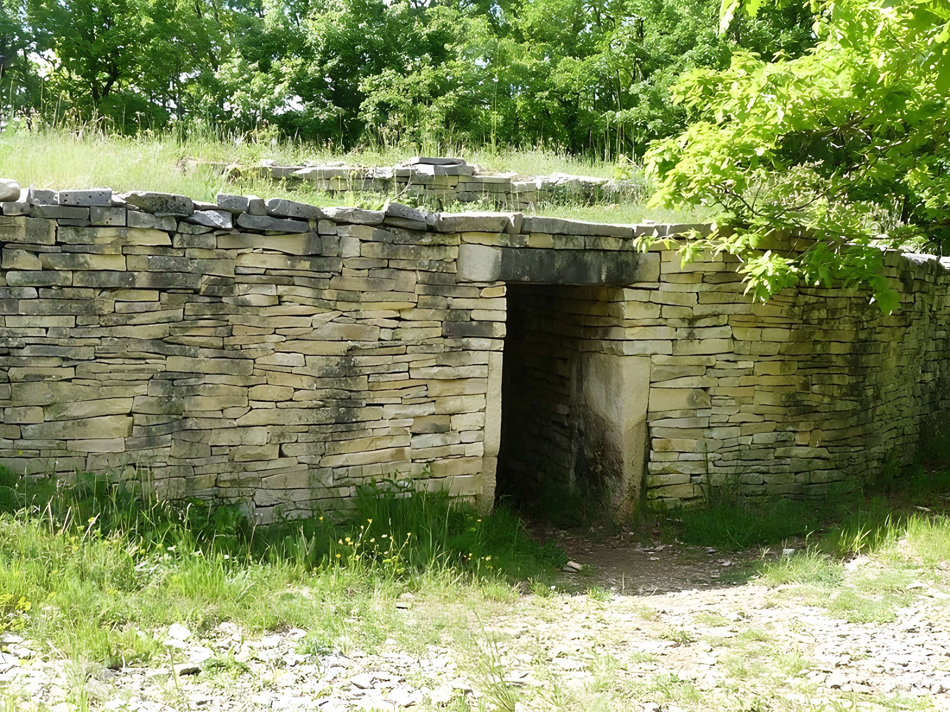 Nécropole de la Boixe à Vervant 