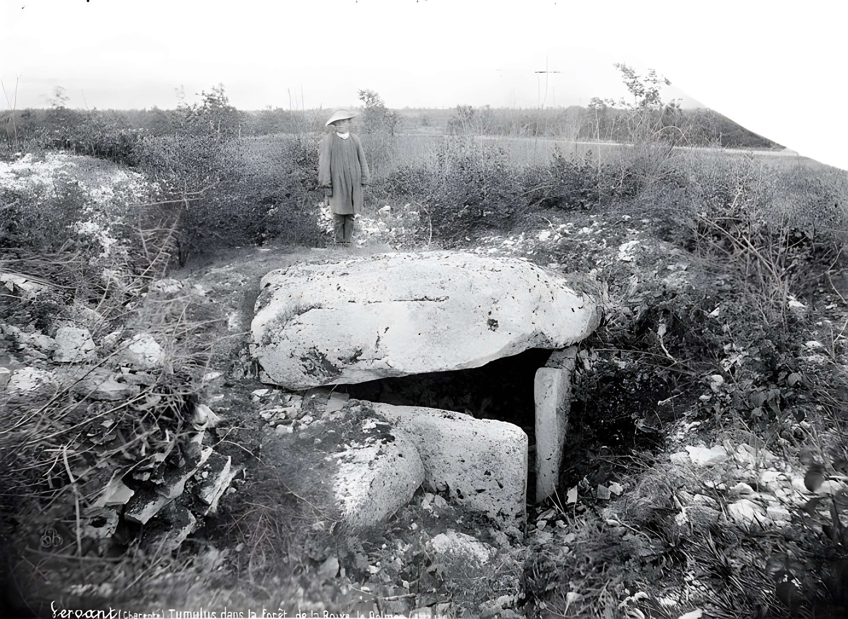 Nécropole de la Boixe à Vervant
