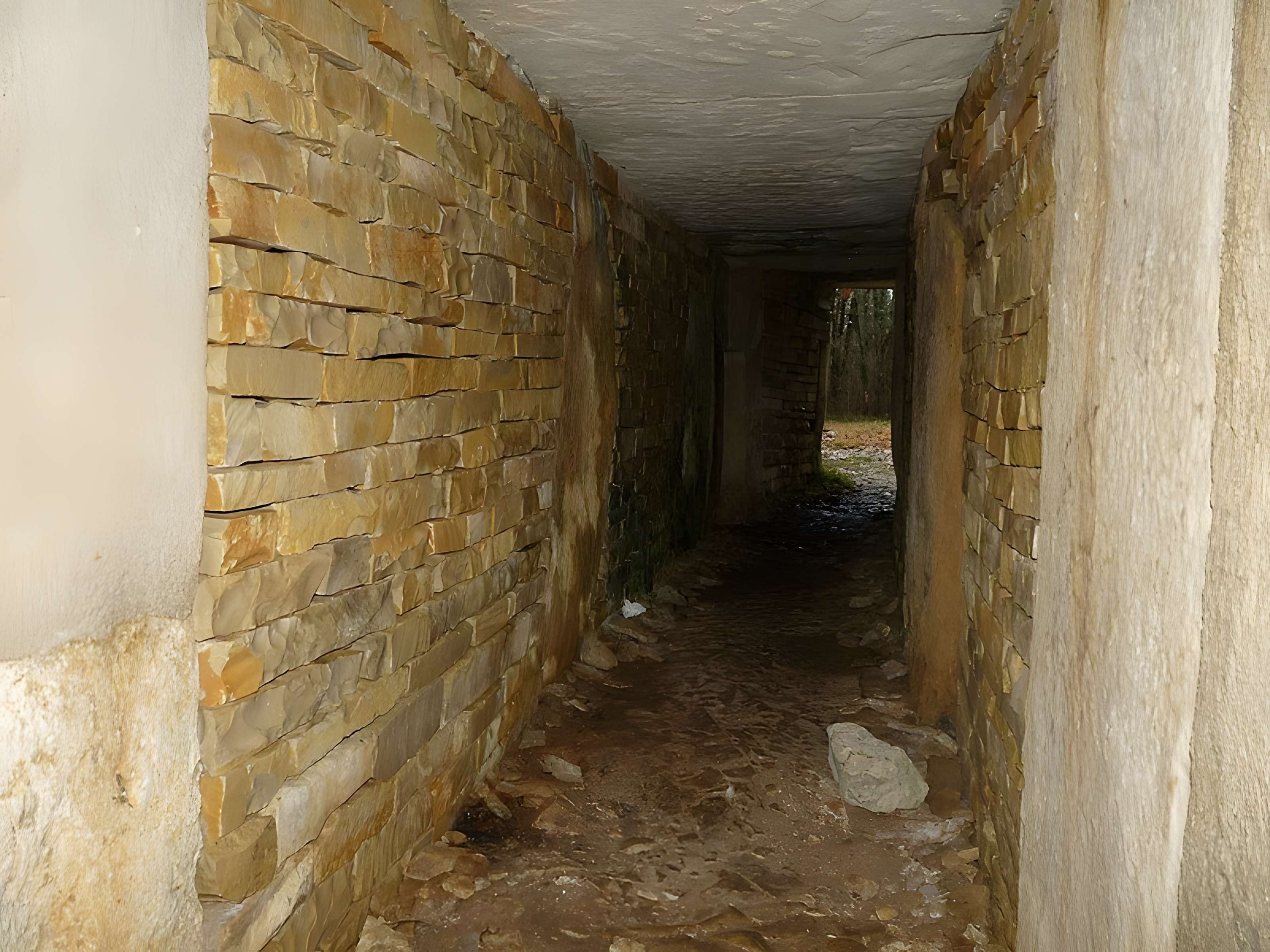 Nécropole de la Boixe à Vervant