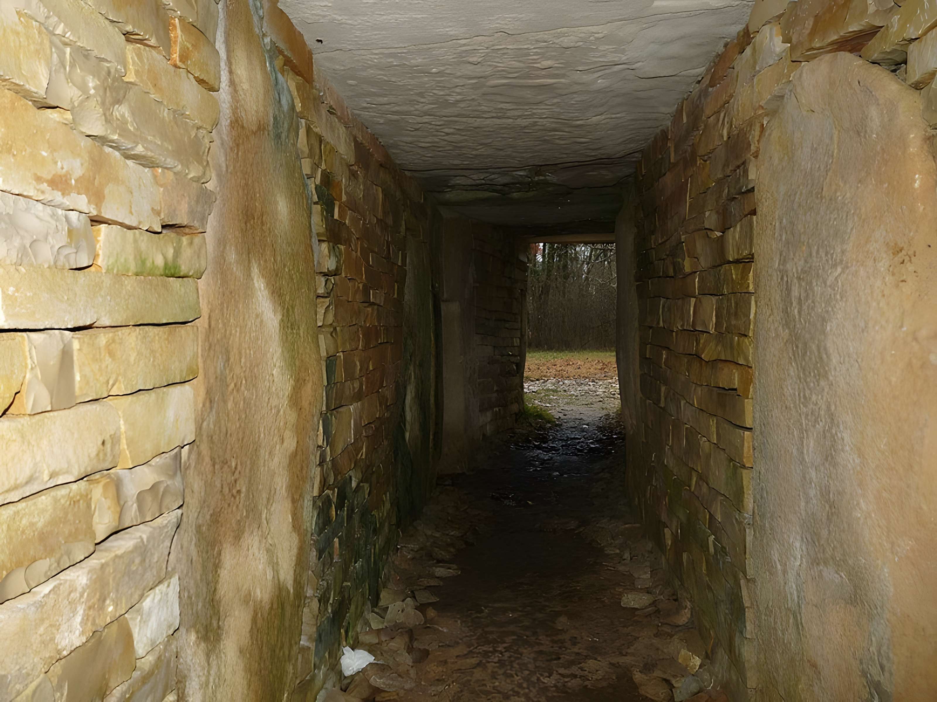 Nécropole de la Boixe à Vervant