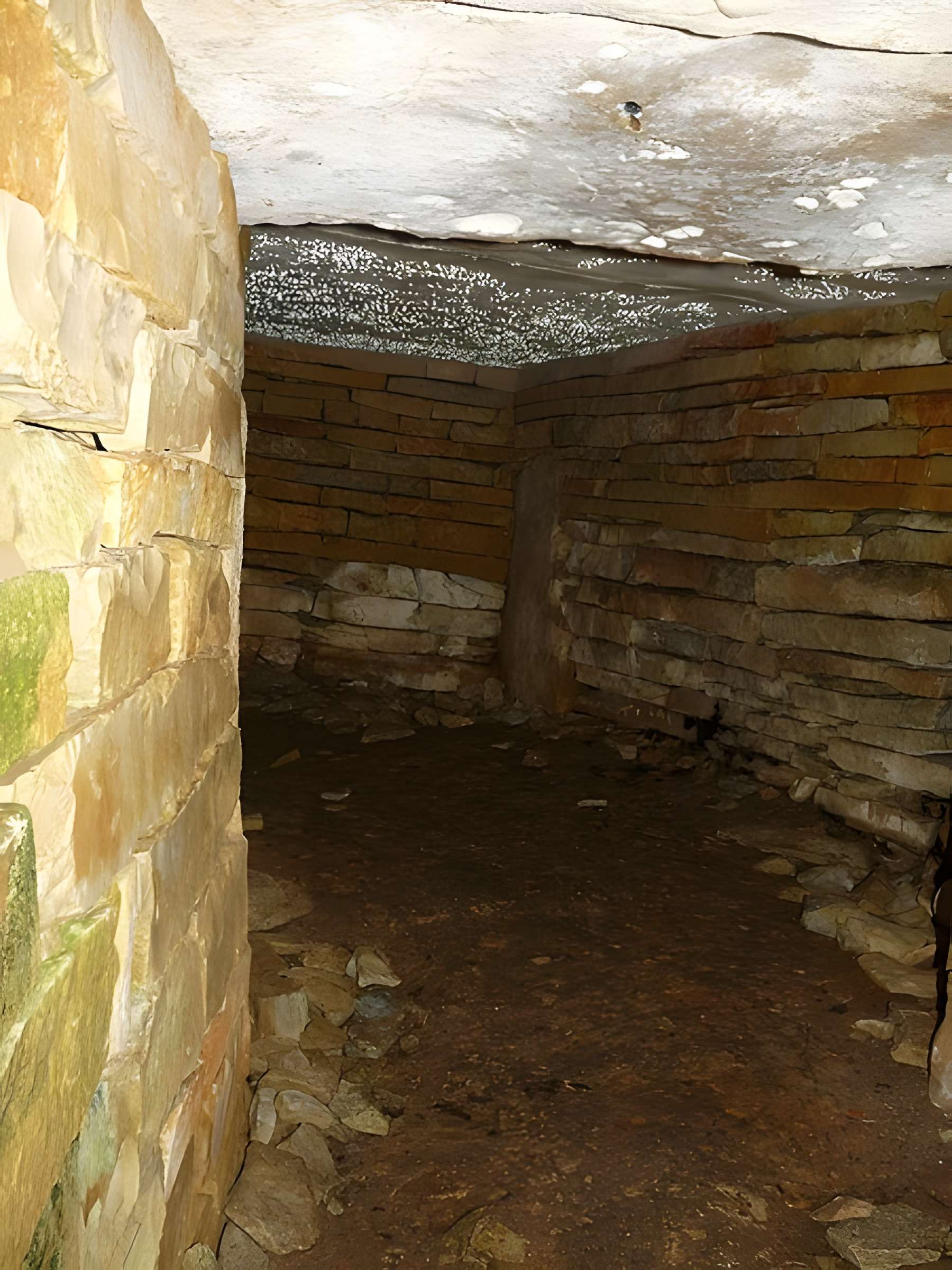 Nécropole de la Boixe à Vervant