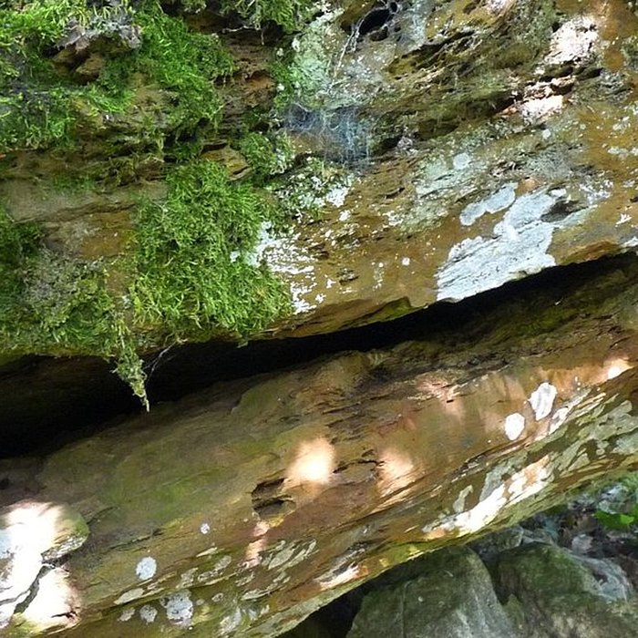 Photo de Nécropole dÉdon