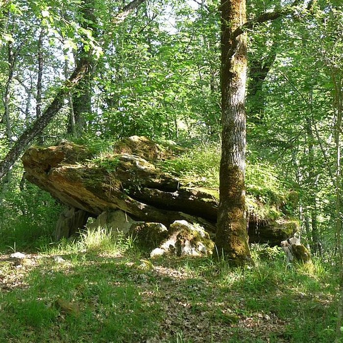 Photo de Nécropole dÉdon