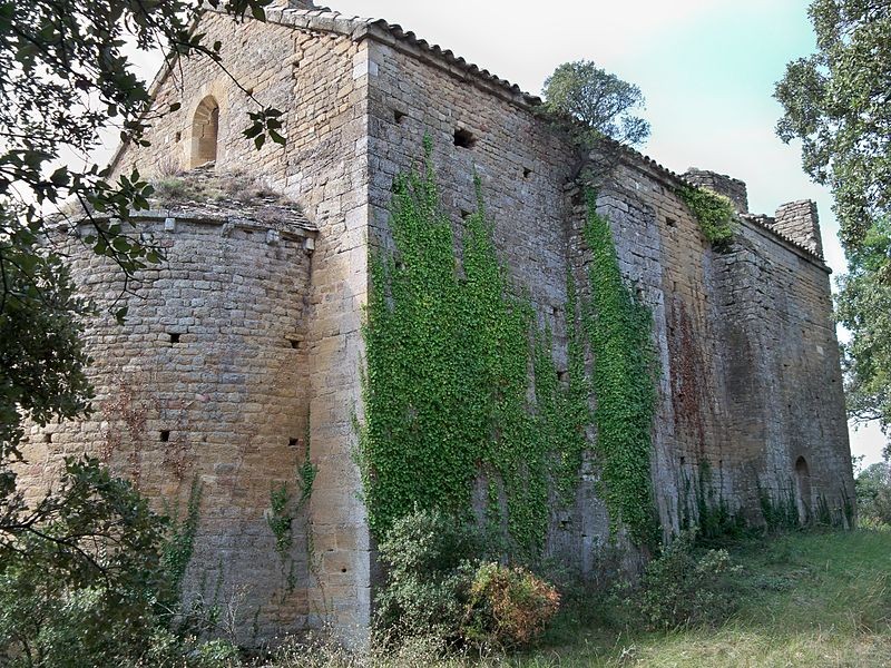Photo de Notre-Dame-des-Aubagnans de Rochegude