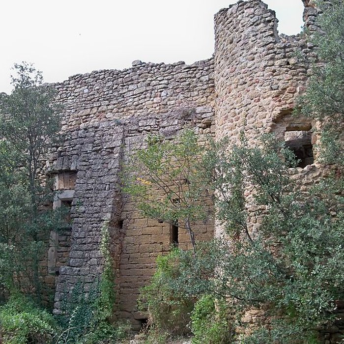 Photo de Notre-Dame-des-Aubagnans de Rochegude