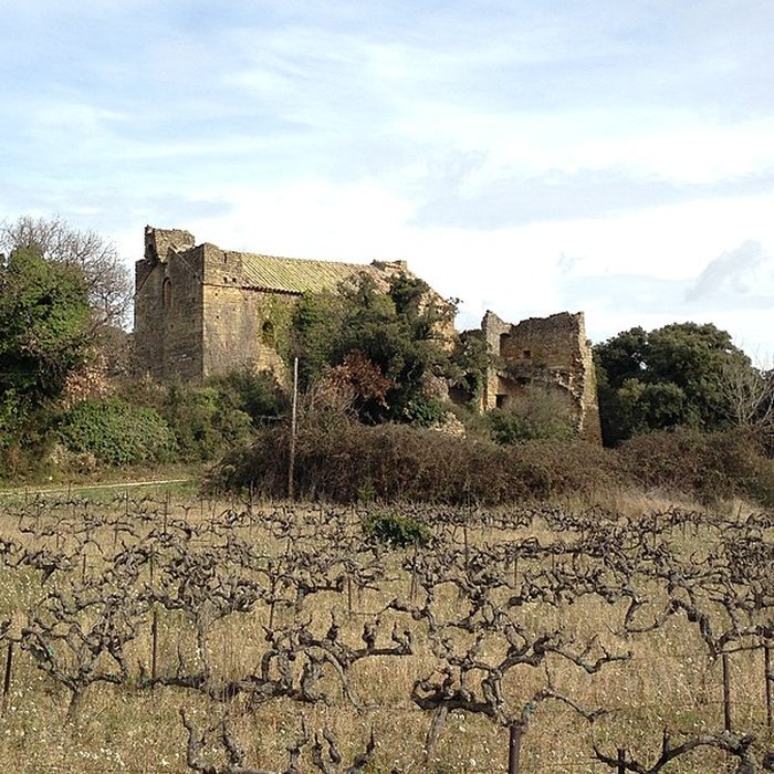 Photo de Notre-Dame-des-Aubagnans de Rochegude
