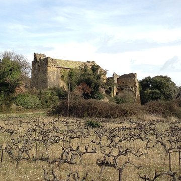 Notre-Dame-des-Aubagnans de Rochegude