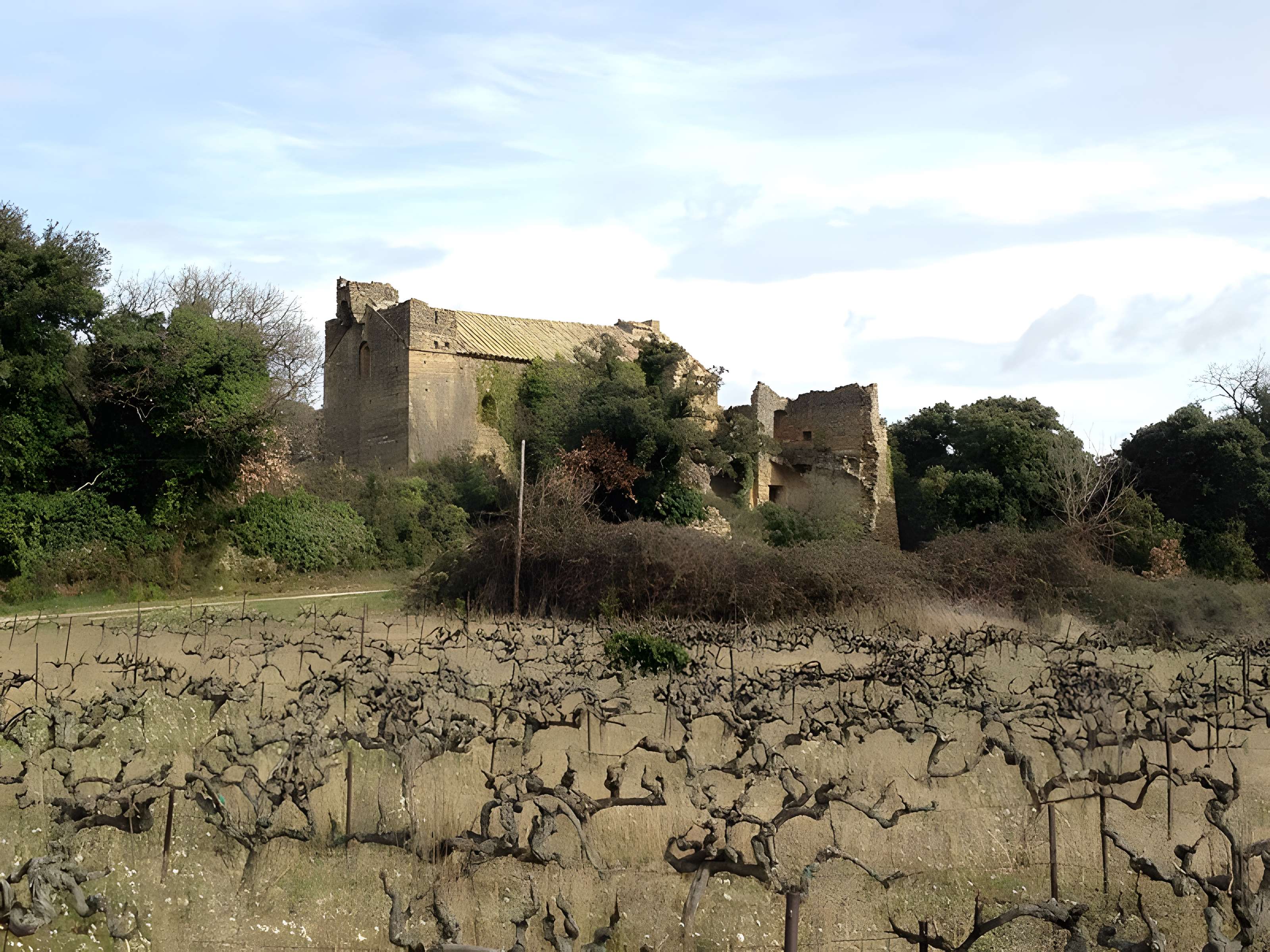 Notre-Dame-des-Aubagnans de Rochegude