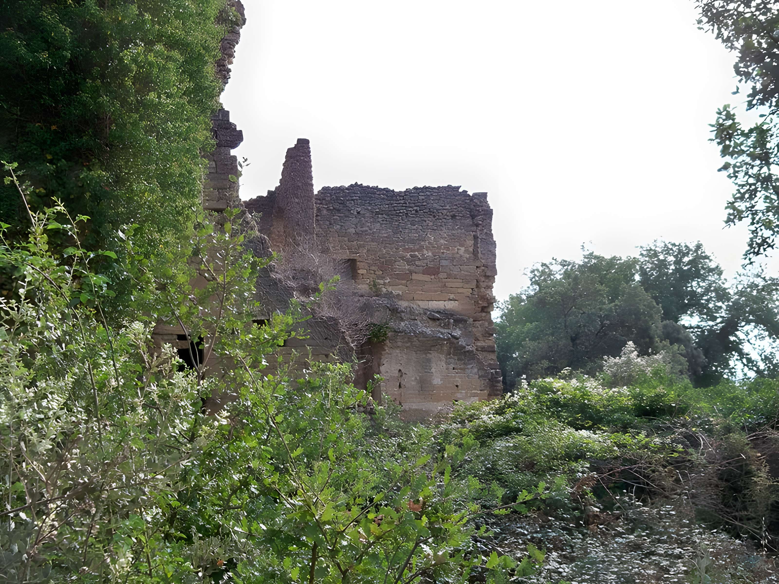 Notre-Dame-des-Aubagnans de Rochegude