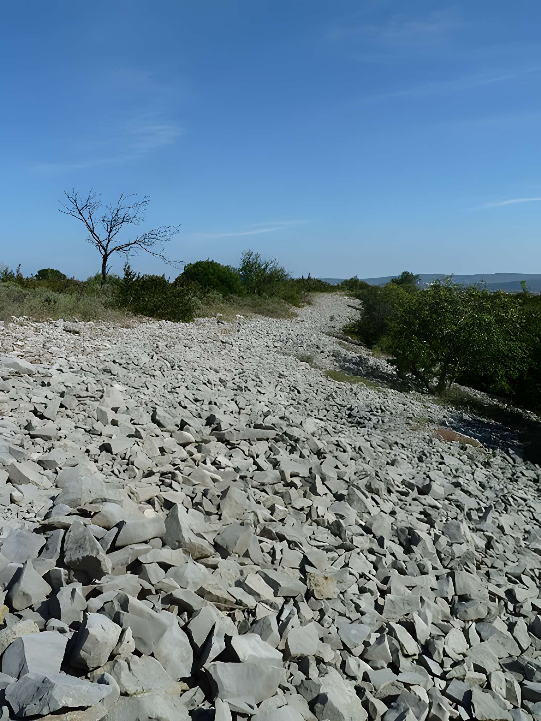 Oppidum de Jastres-Sud à Lavilledieu 