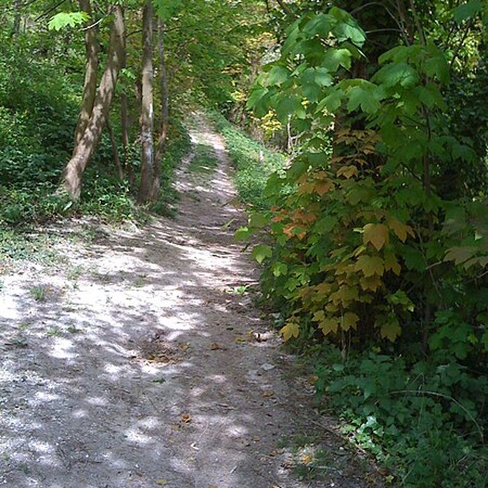 Photo de Château dIvry la Bataille