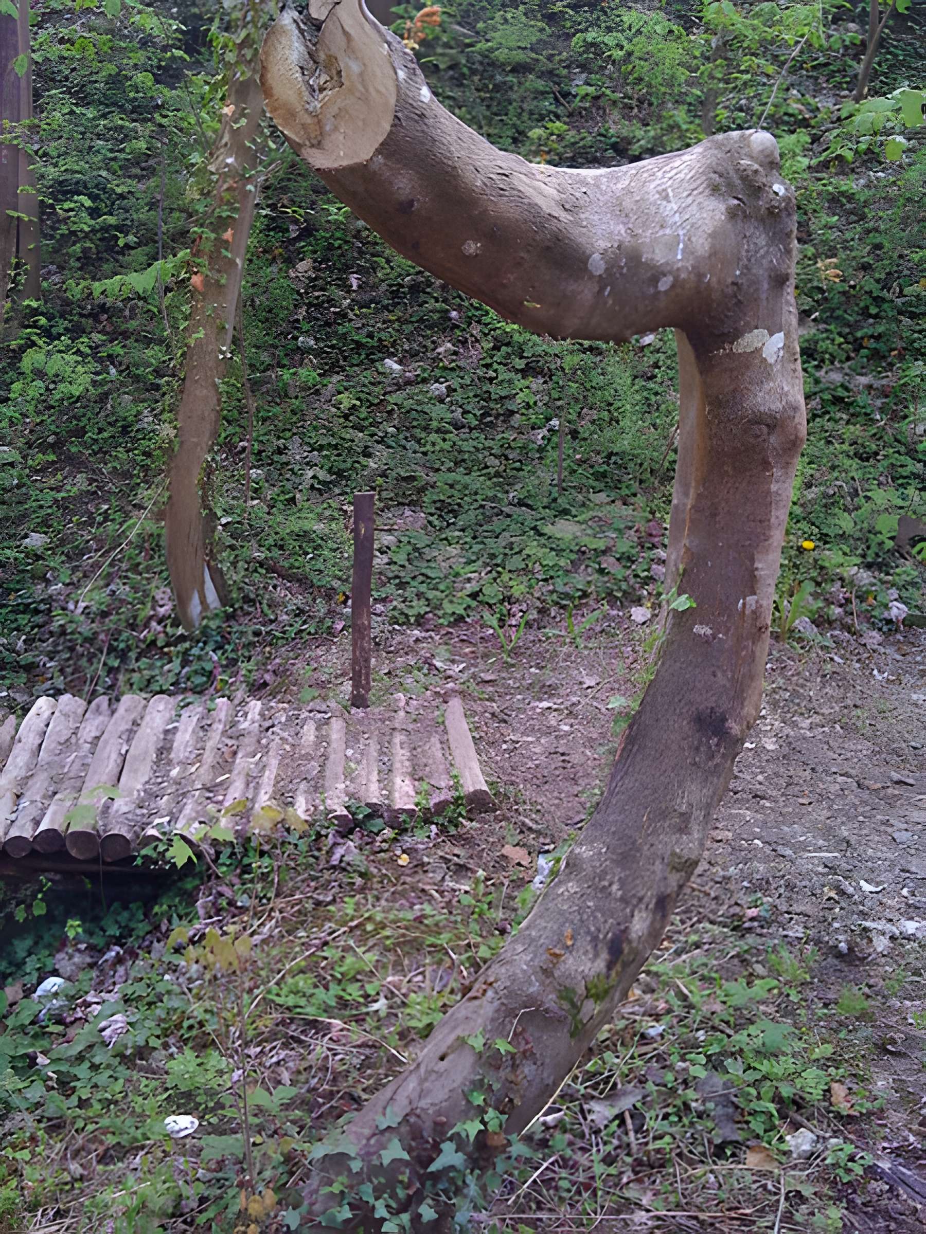 Château d'Ivry la Bataille