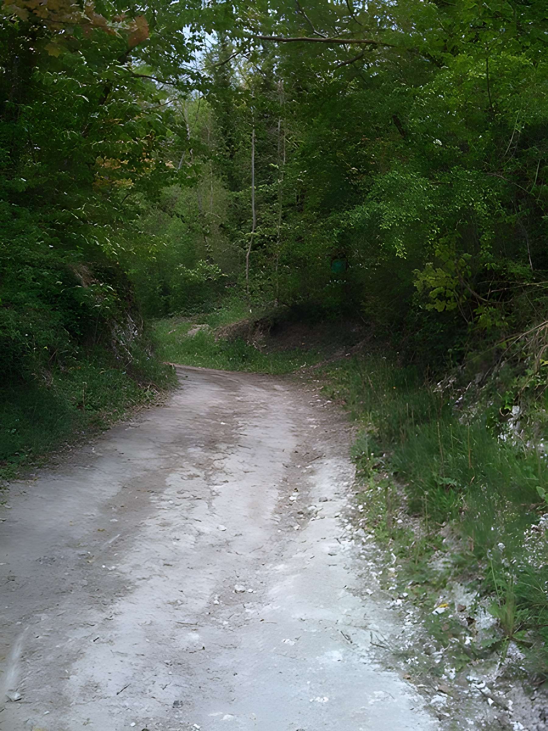 Château d'Ivry la Bataille