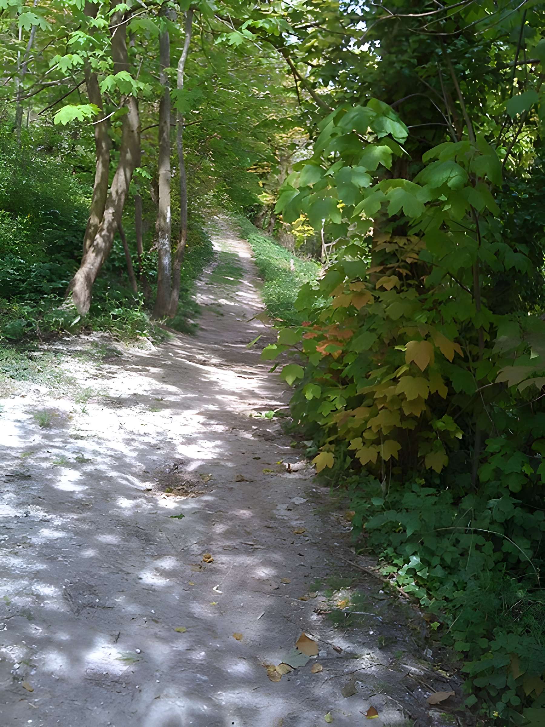 Château d'Ivry la Bataille