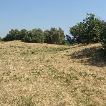 Sol des parcelles contenant les vestiges de loppidum des Baou et terrains extérieurs au rempart pouvant offrir des traces archéologiques à Saint-Marcel