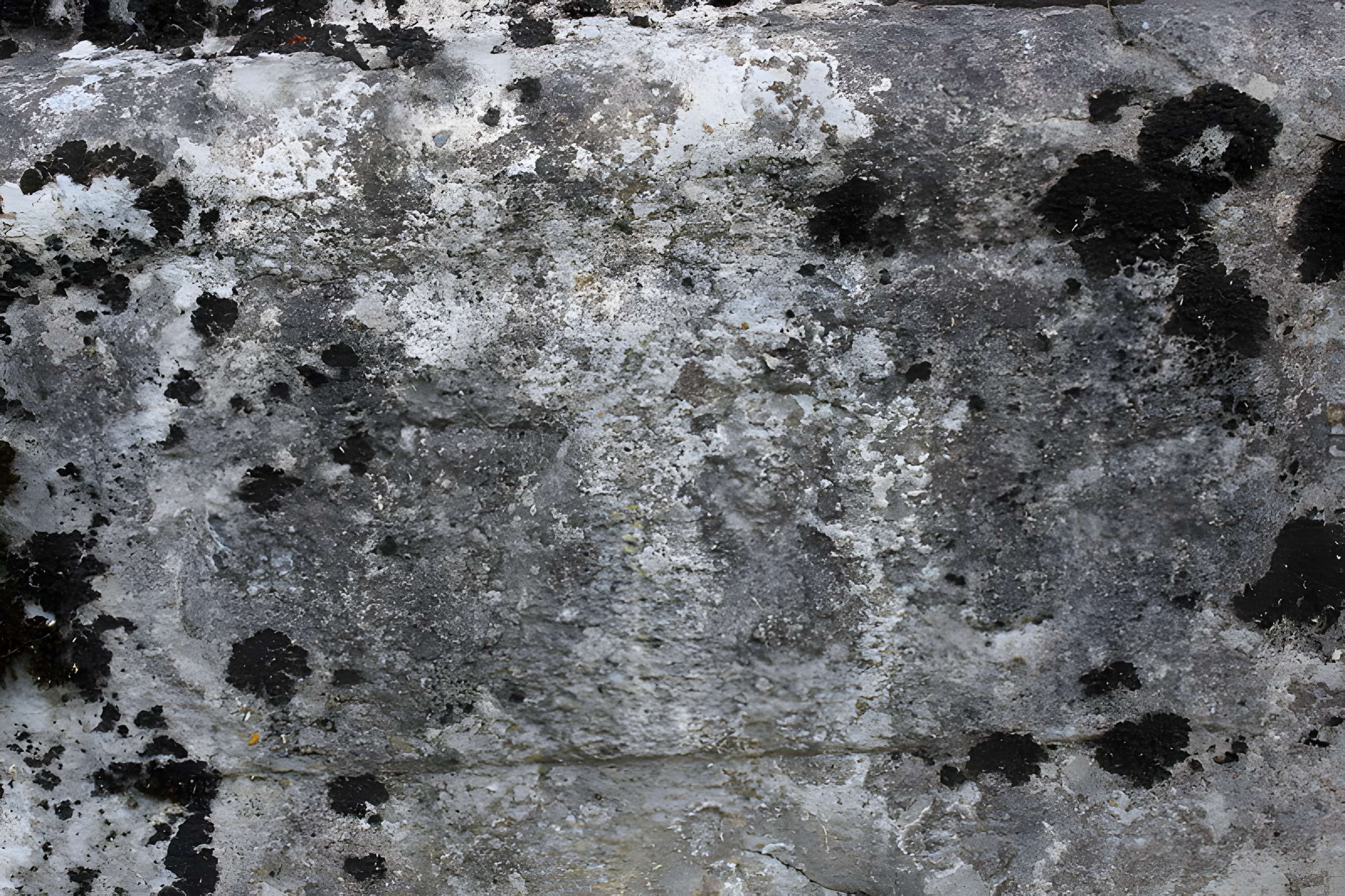 Oratoire de Maison-Neuve