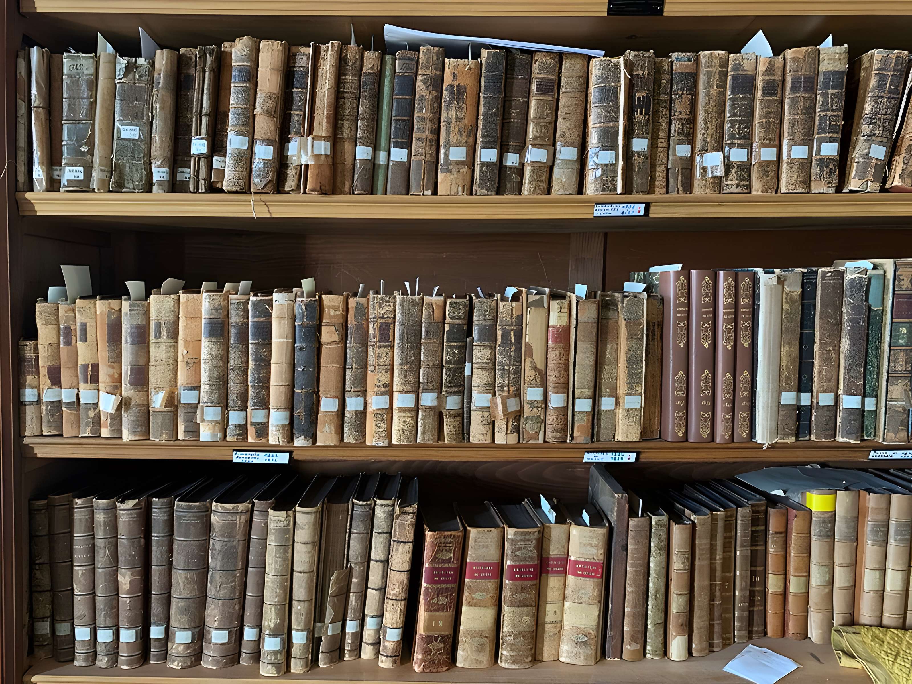 Palais archiépiscopal de Lyon 