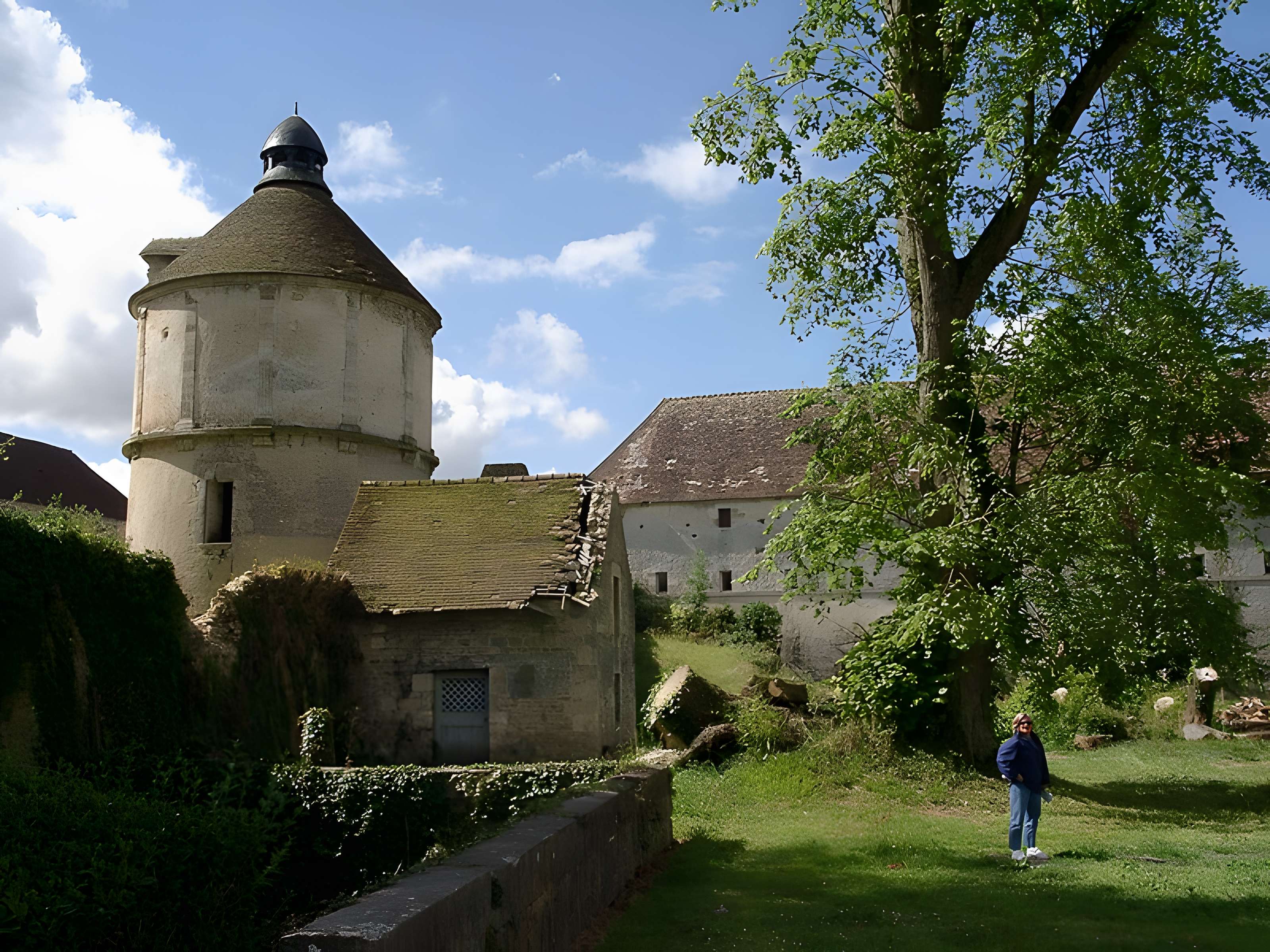 Château d'O à Mortrée