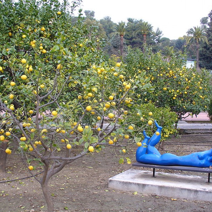 Photo de Palais Carnolès de Menton