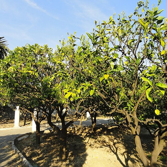 Photo de Palais Carnolès de Menton