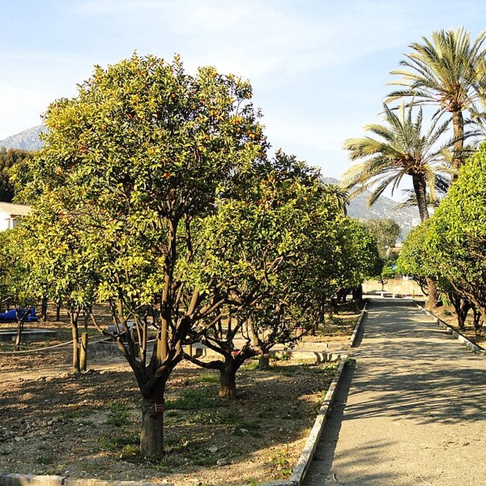Photo de Palais Carnolès de Menton