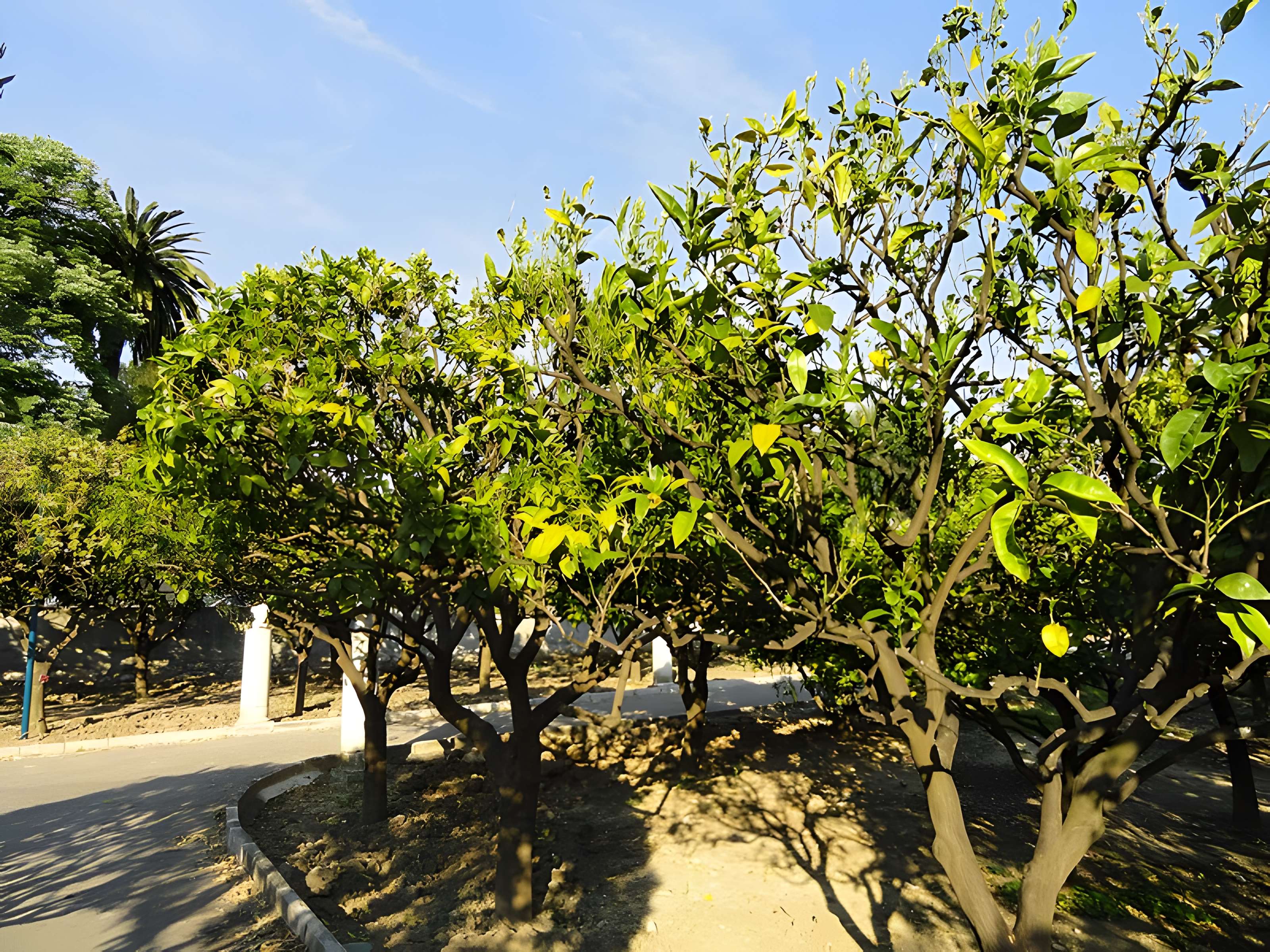 Palais Carnolès de Menton